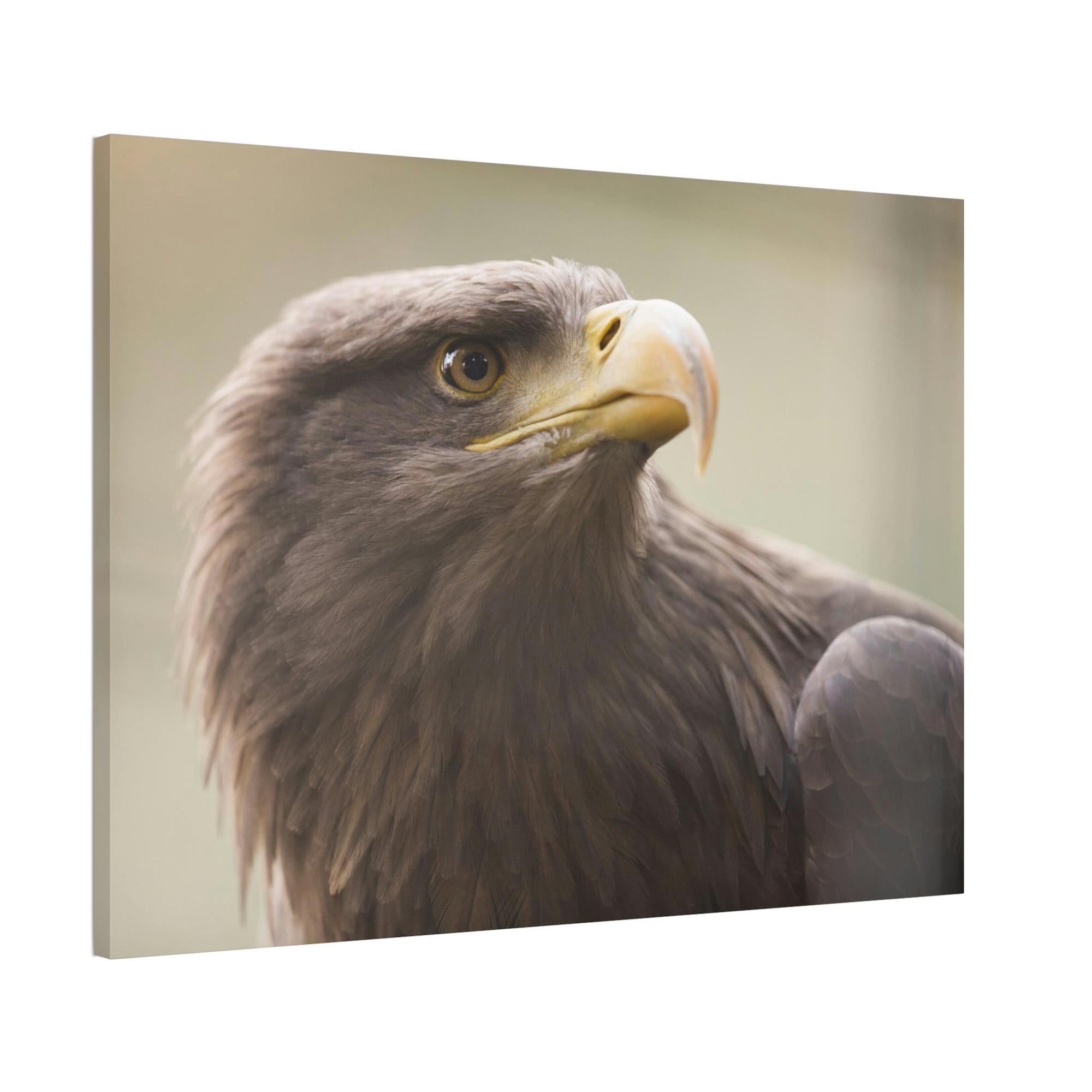 Eagles Flight of Wonder: Wall Art Enthralling with the Mystique of Eagles in Flight