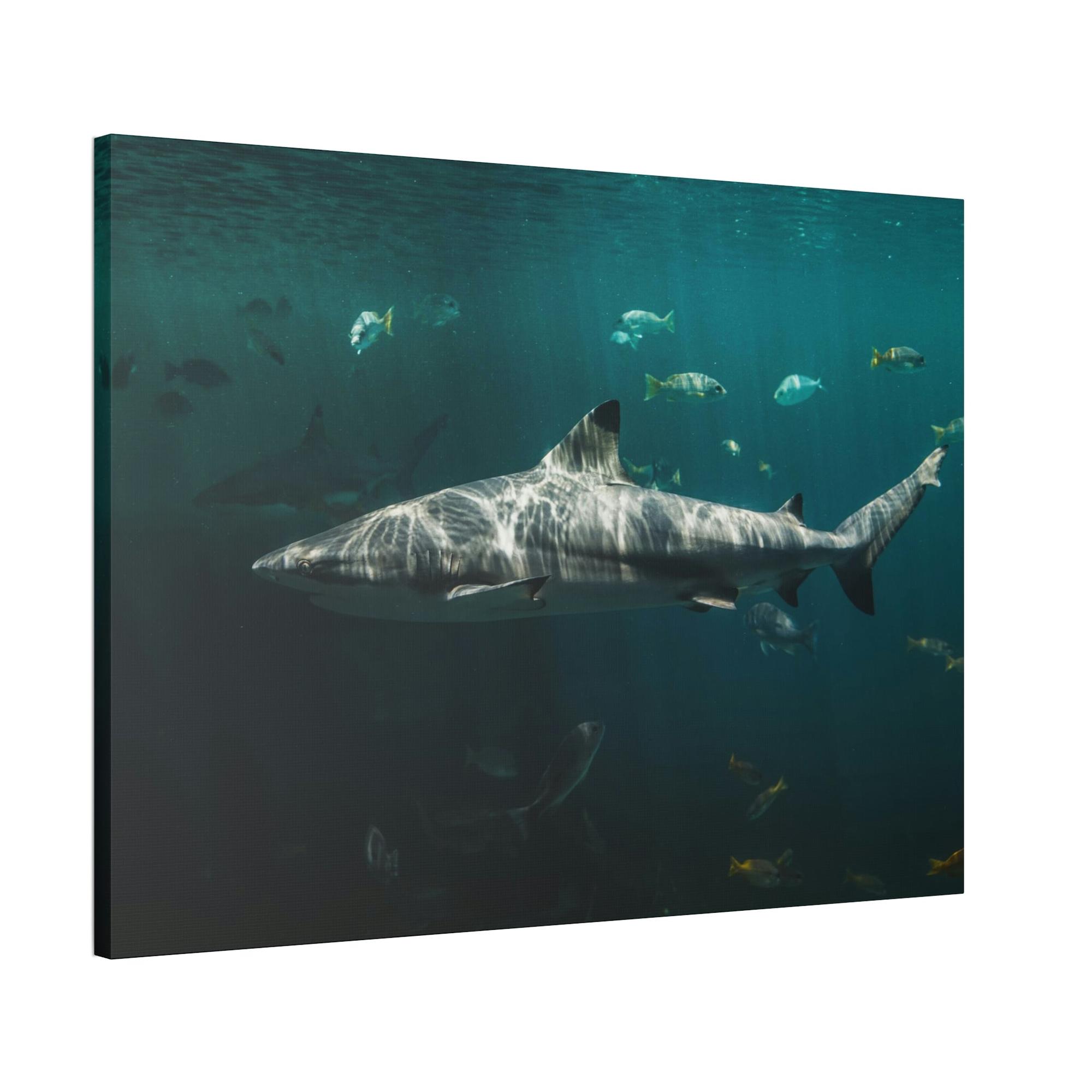 Sharks Silent Predators: Sharks' Haunting Canvas