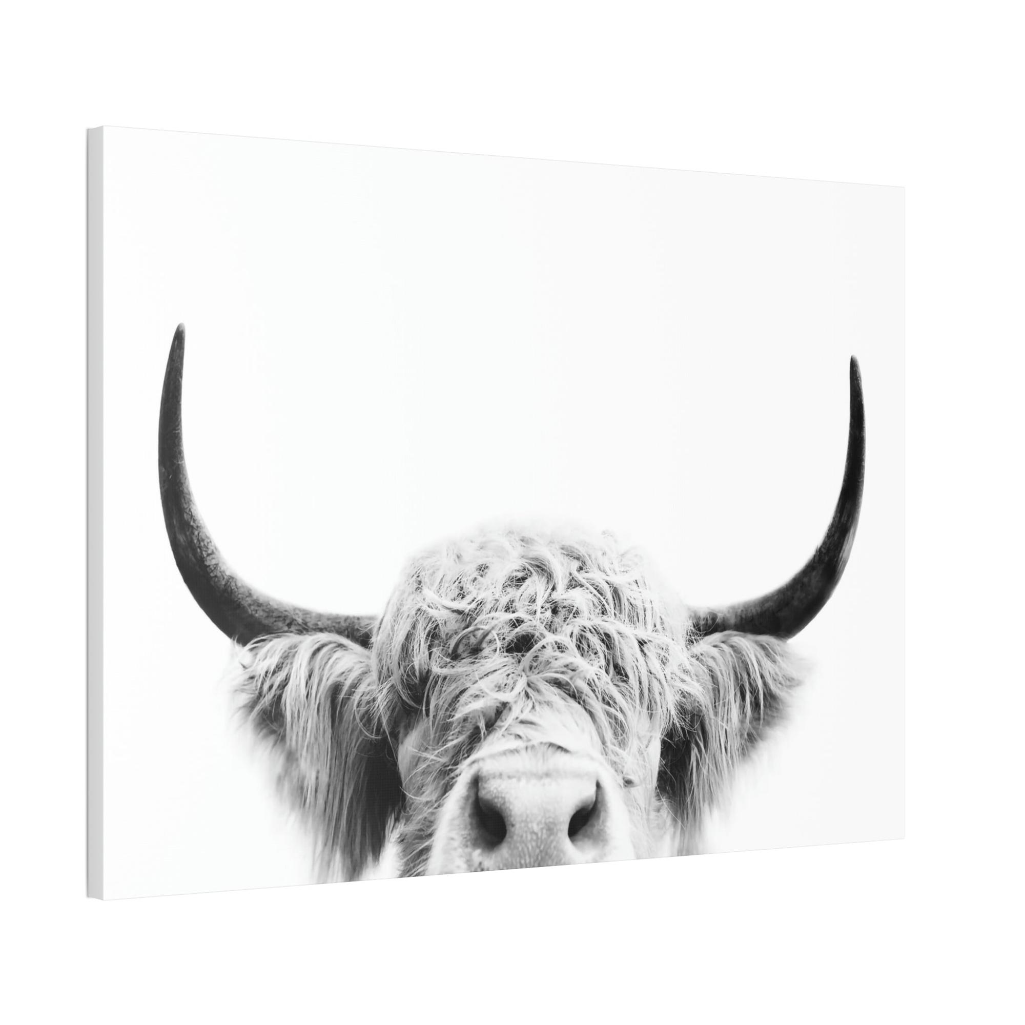 undefined Highland Cow | Close-up of a Horned Cow | Wall Art — Pixoram