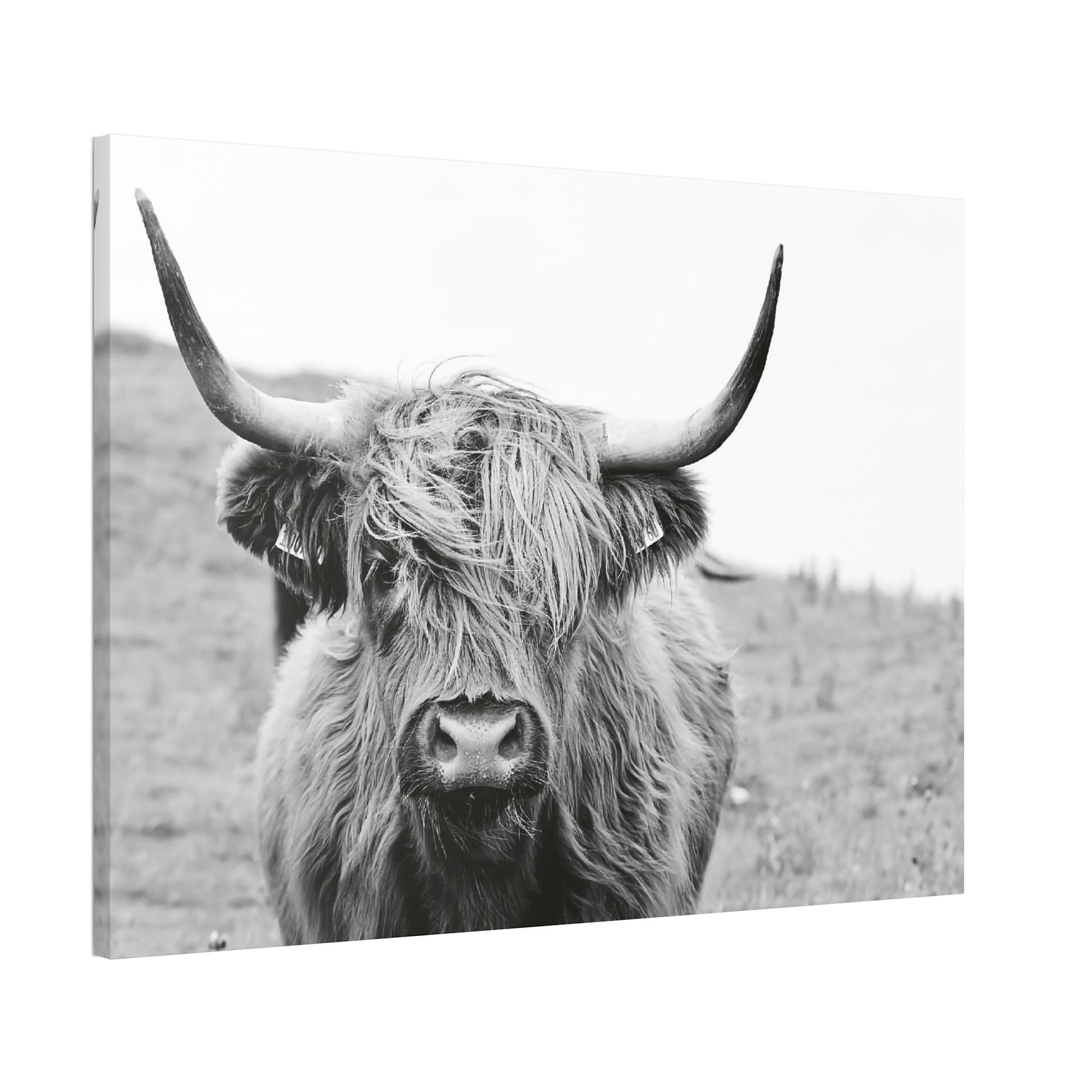 Highland Cow Highland Cow Wall Art | Black-White Colors | Canvas Art — Pixoram
