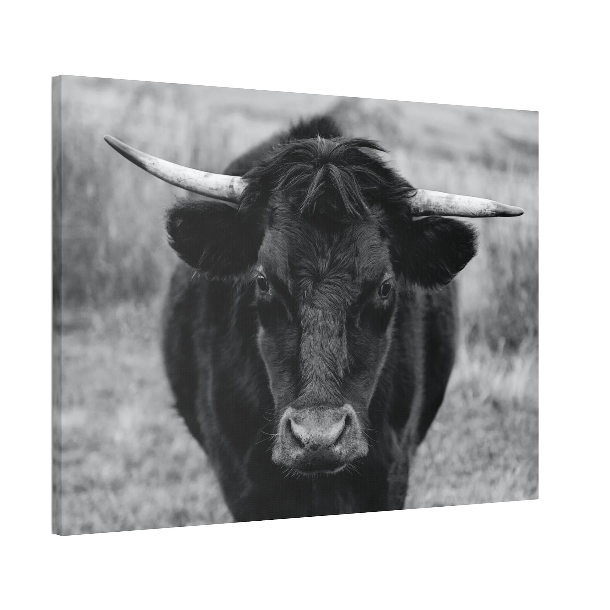 Highland Cow Highland Cattle Retriever - Printed Canvas - Wall Art - Cattle Wall Art | Animals Art