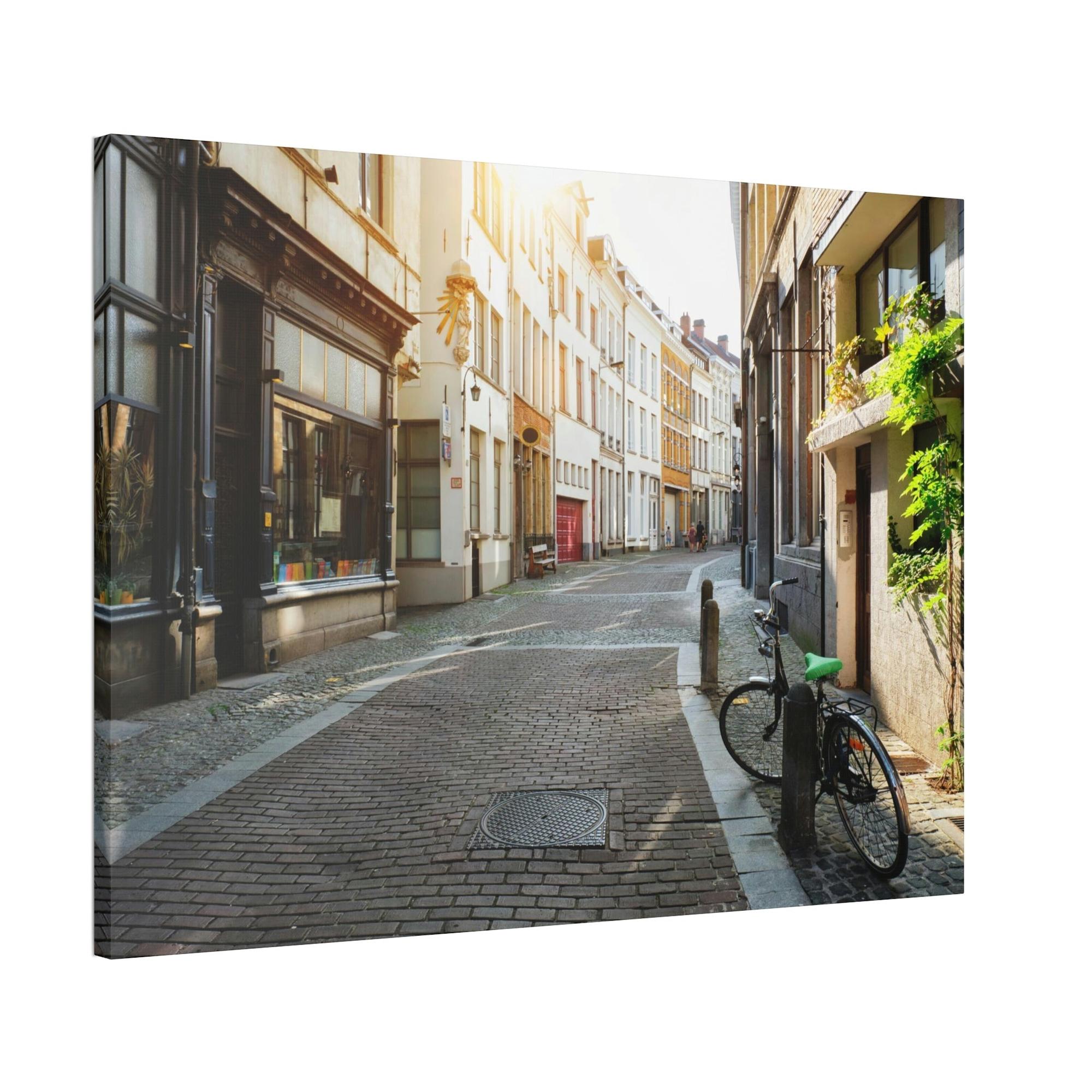 Street Cityscapes: The Diversity of the Streets