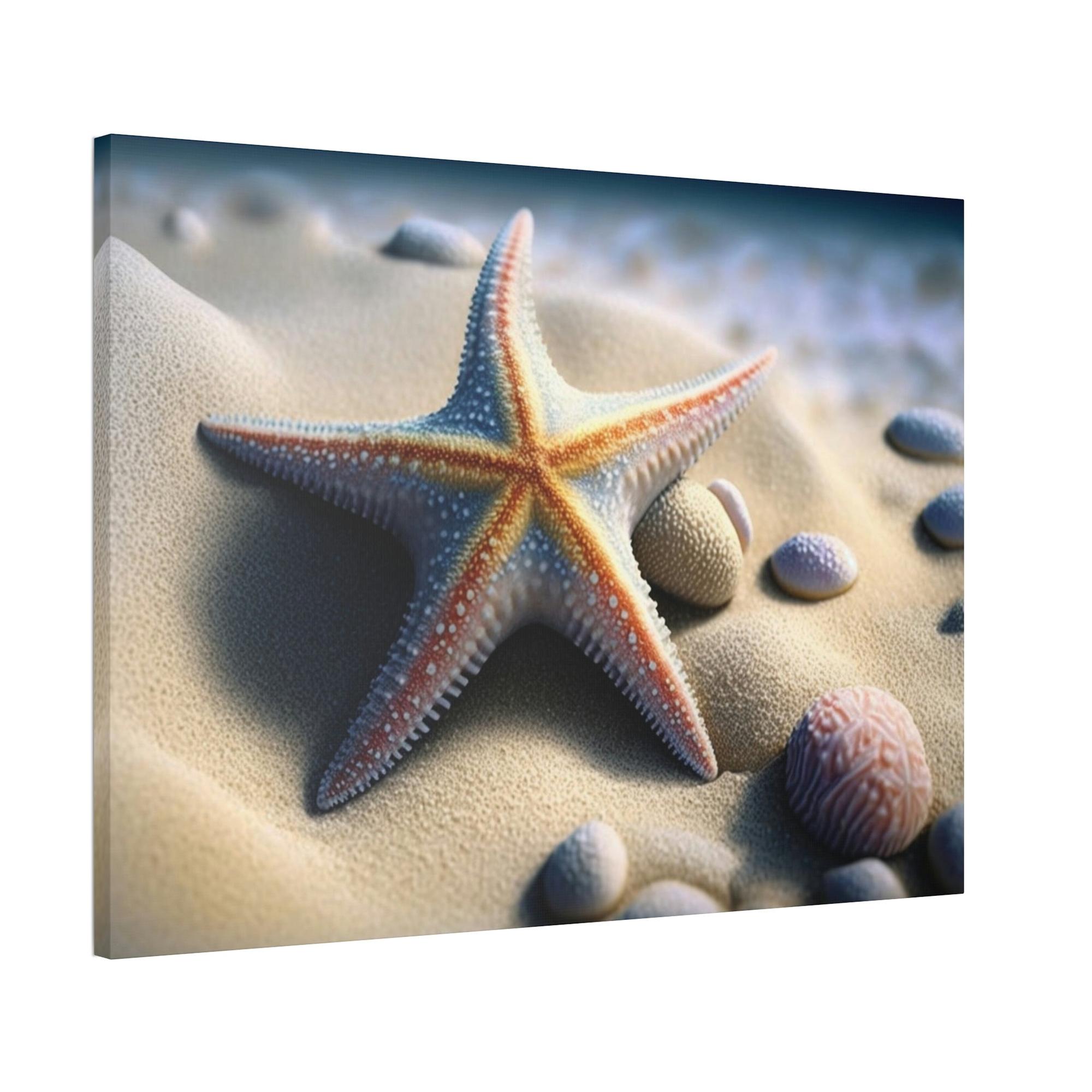 Starfishs Starfish Tales: A Story of Sea Life and Wonder