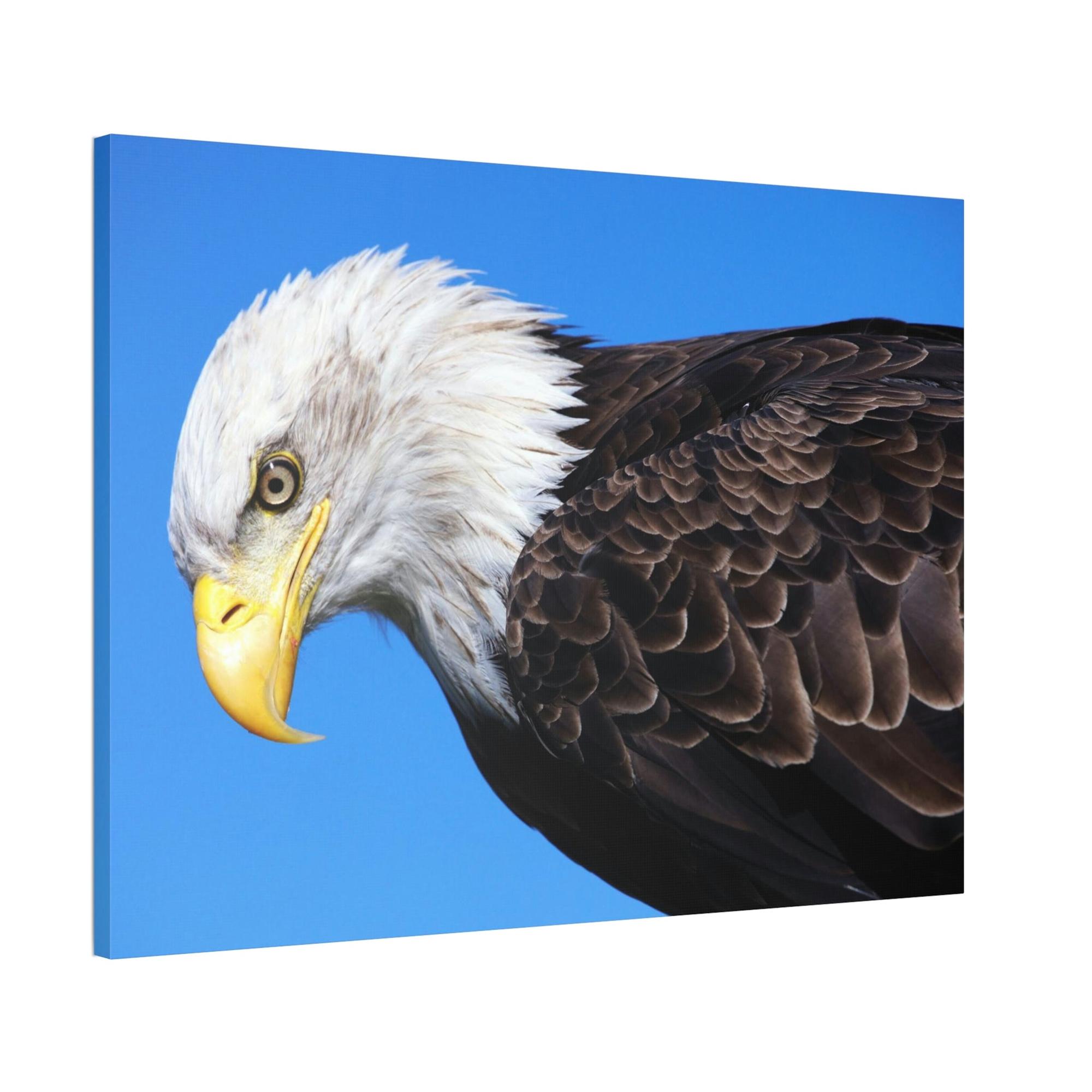 Eagles Eagle's Enchantment: Artistic Canvas Print Conjuring the Magic of their Presence