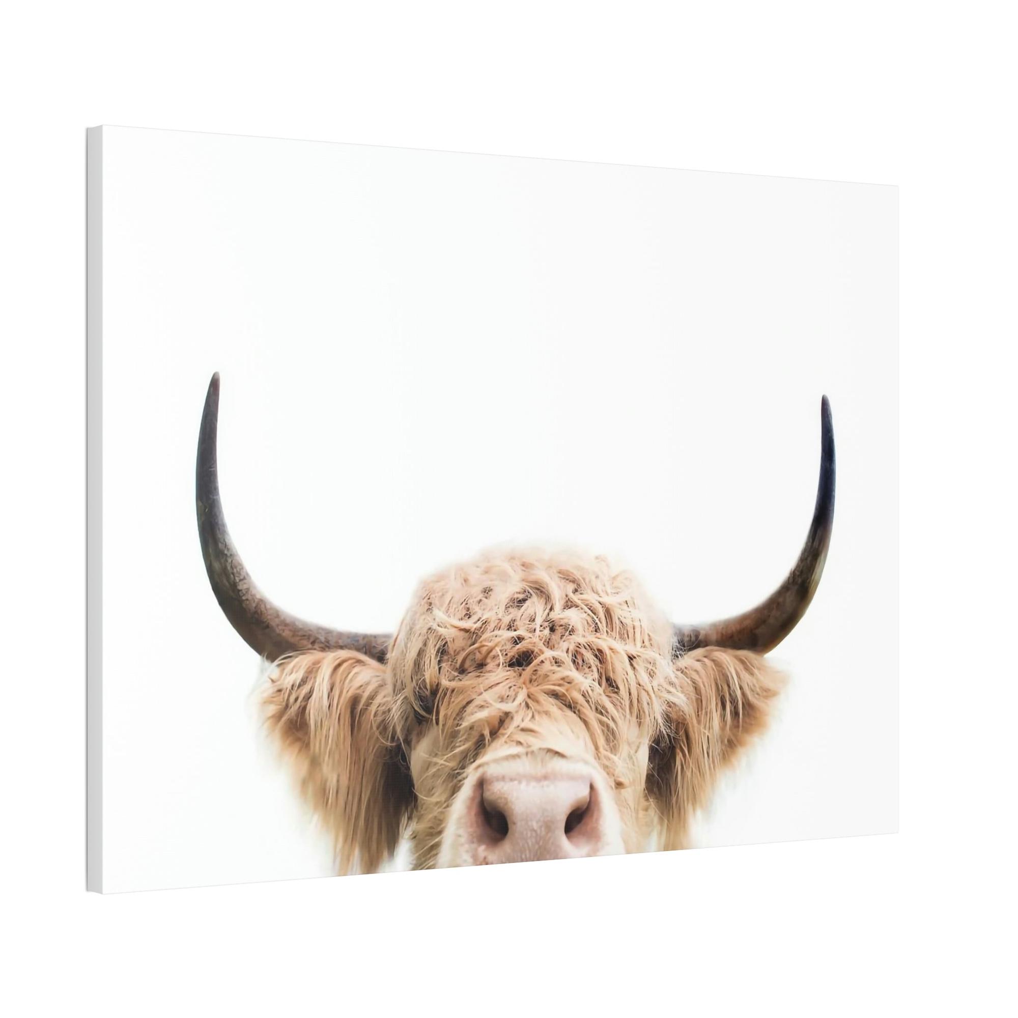 Highland Cow Highland Cow | Wooly Cow on Canvas | Wall Art — Pixoram