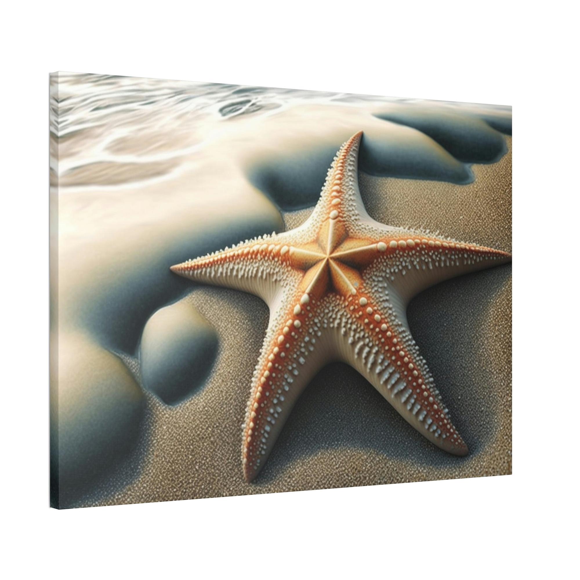 Starfishs Coral Kingdom: Starfish Edition