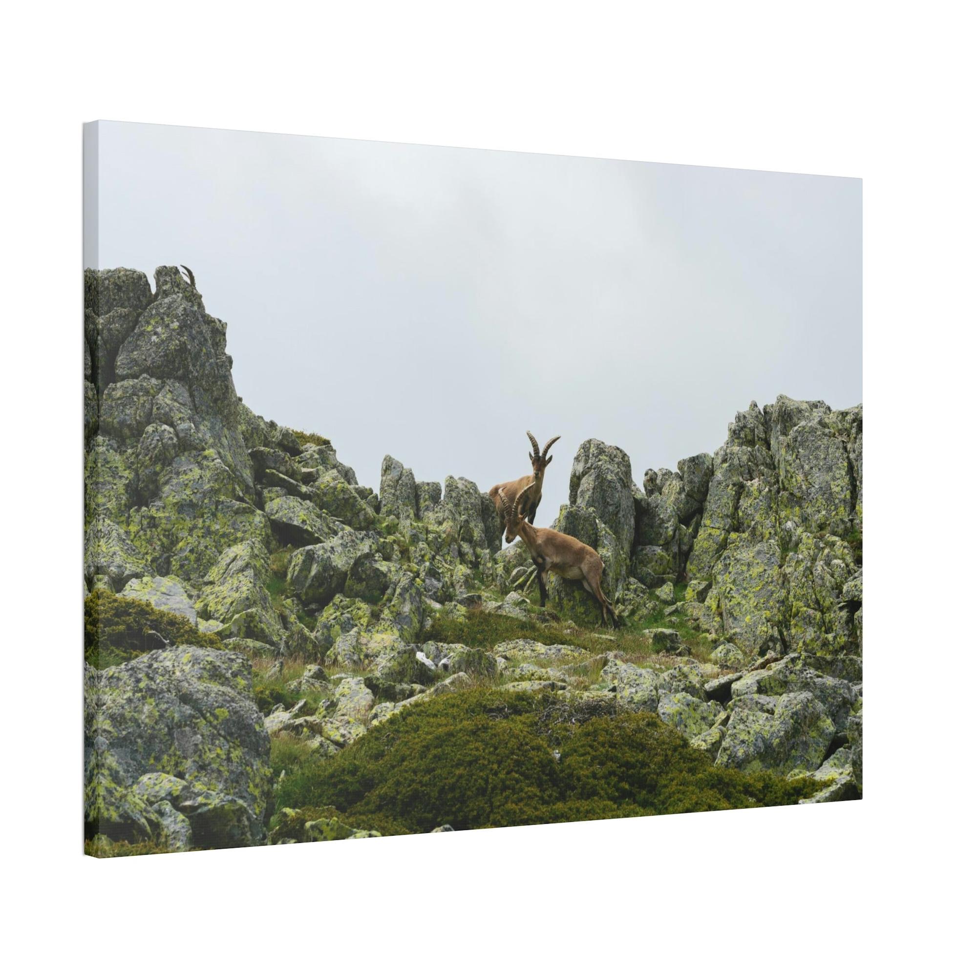 National Parks Natural Beauty: National Parks Canvas Art
