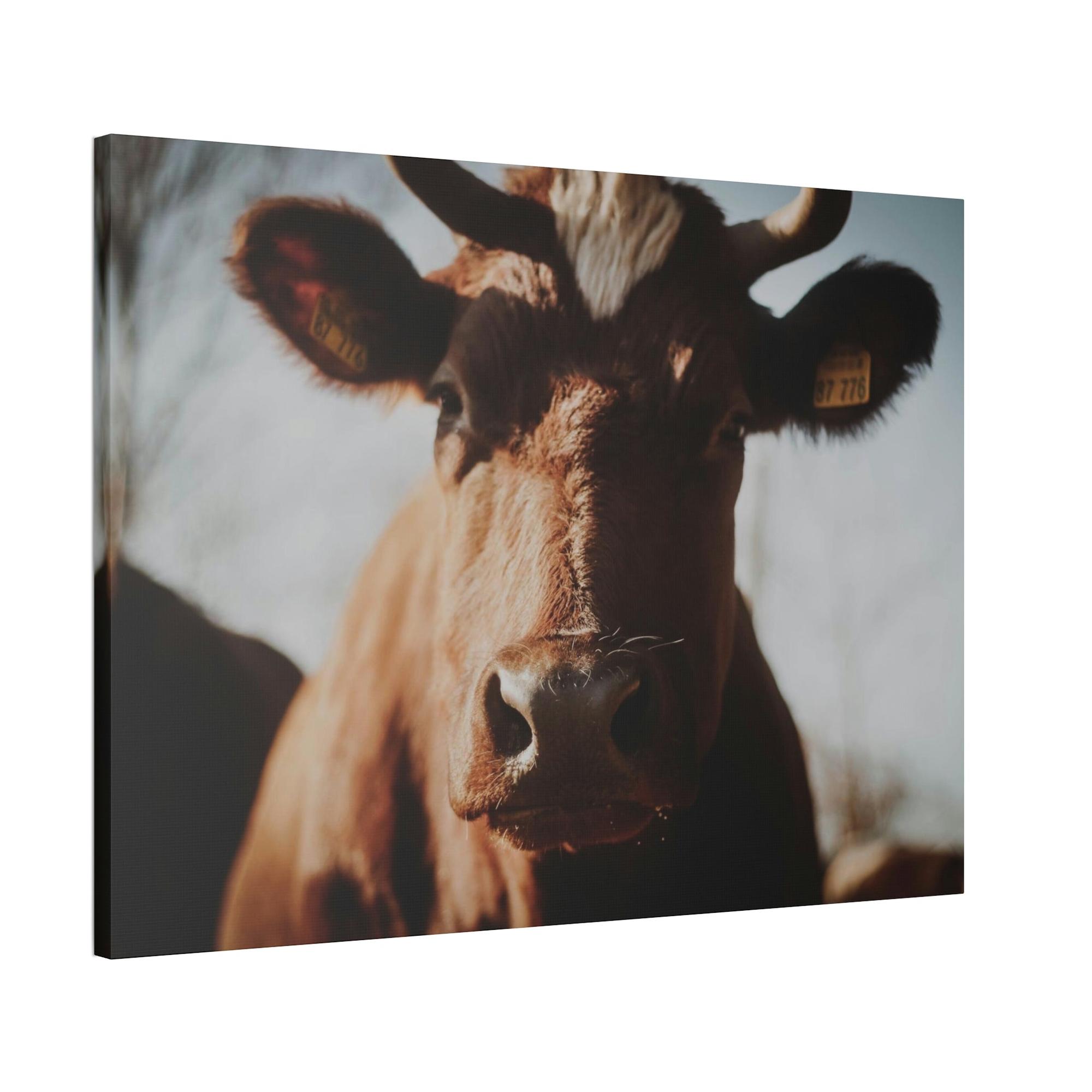 Cows Cow Dreams: Poster & Canvas Print and Wall Art of Whimsical Cow