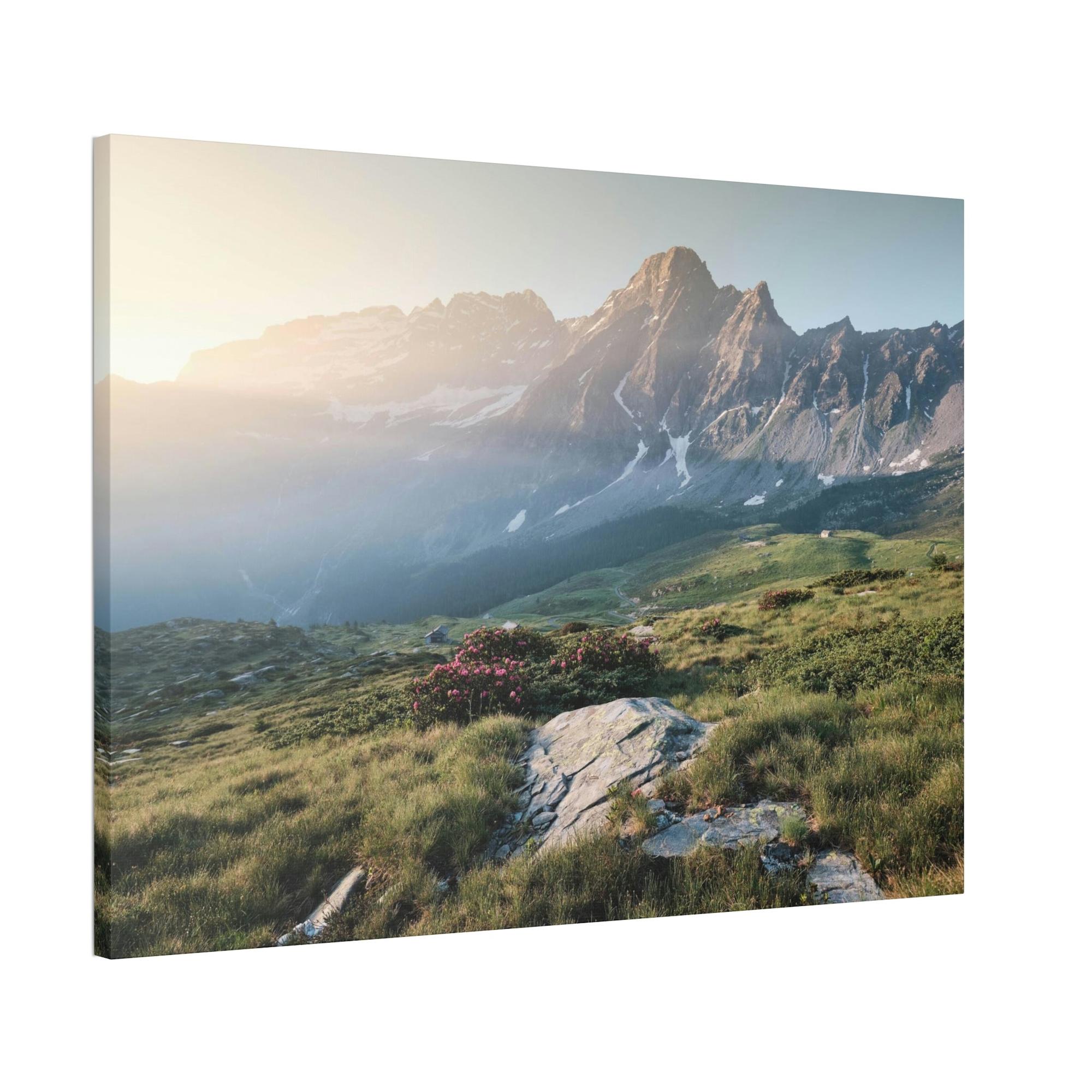 Wilderness Into the Heart of the Wilderness: A Quest for Serenity
