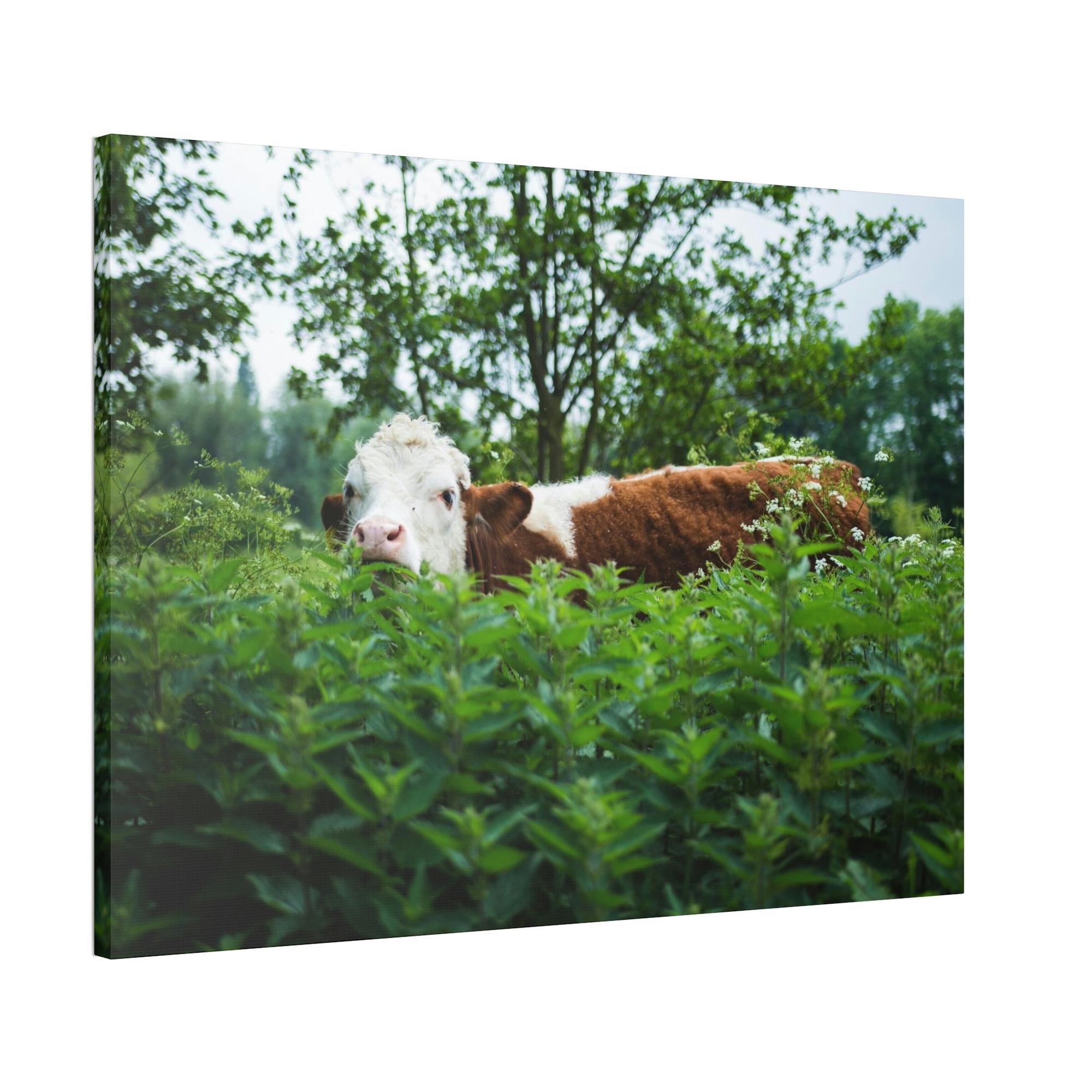 undefined The Art of Cow: Captivating Wall Art on Natural Canvas & Poster