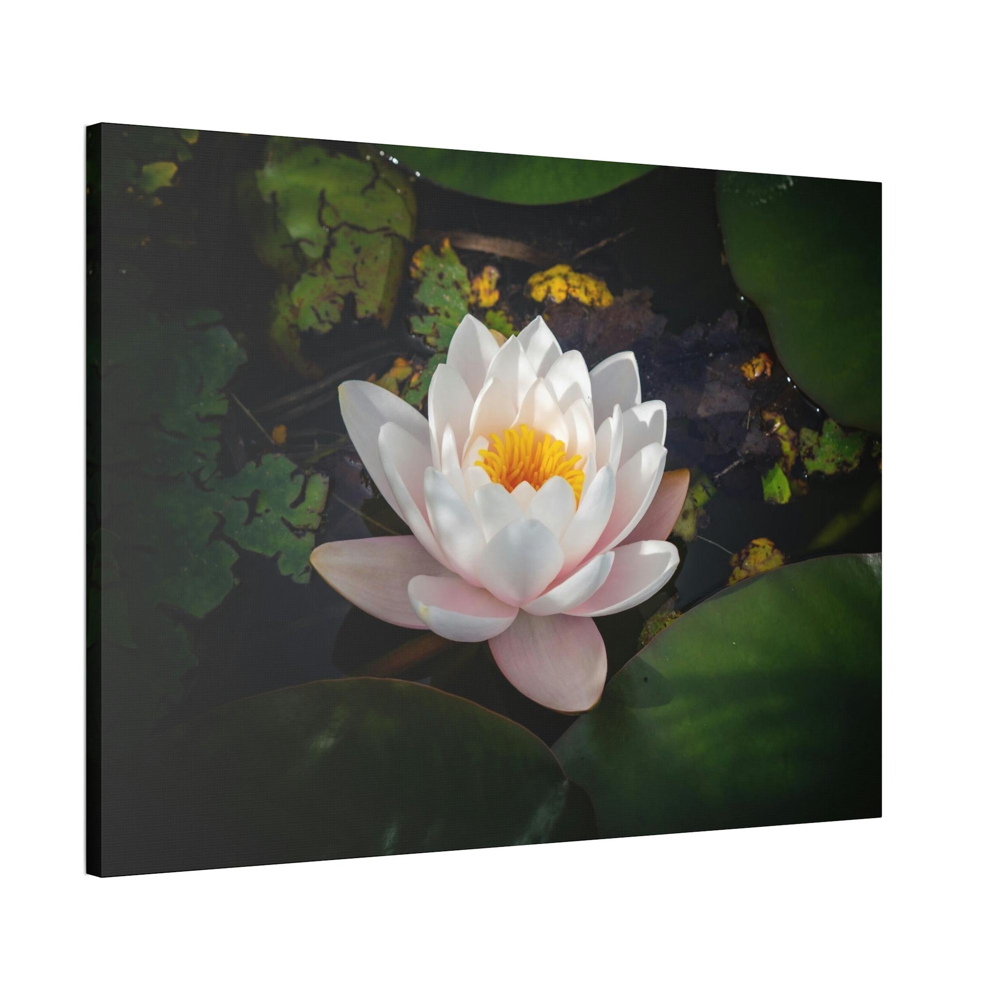 undefined Tranquil Waters: A Canvas Depiction of Lilies Afloat