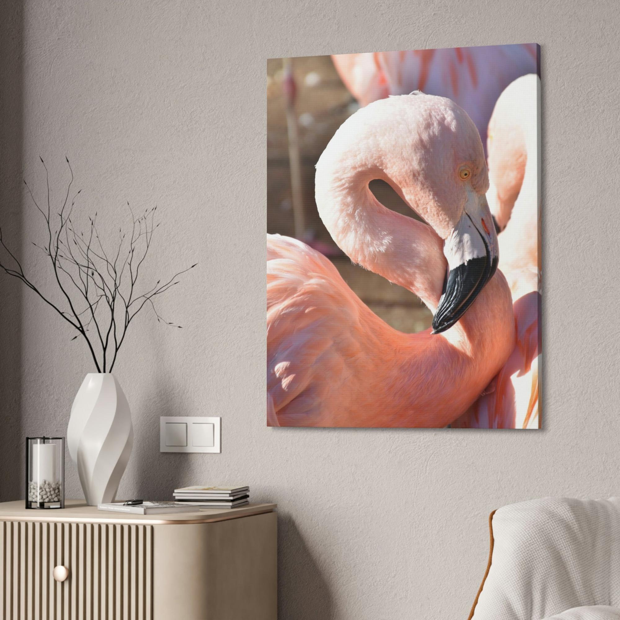 Flamingos Flamingo Reflections: A Canvas of Stillness and Serenity