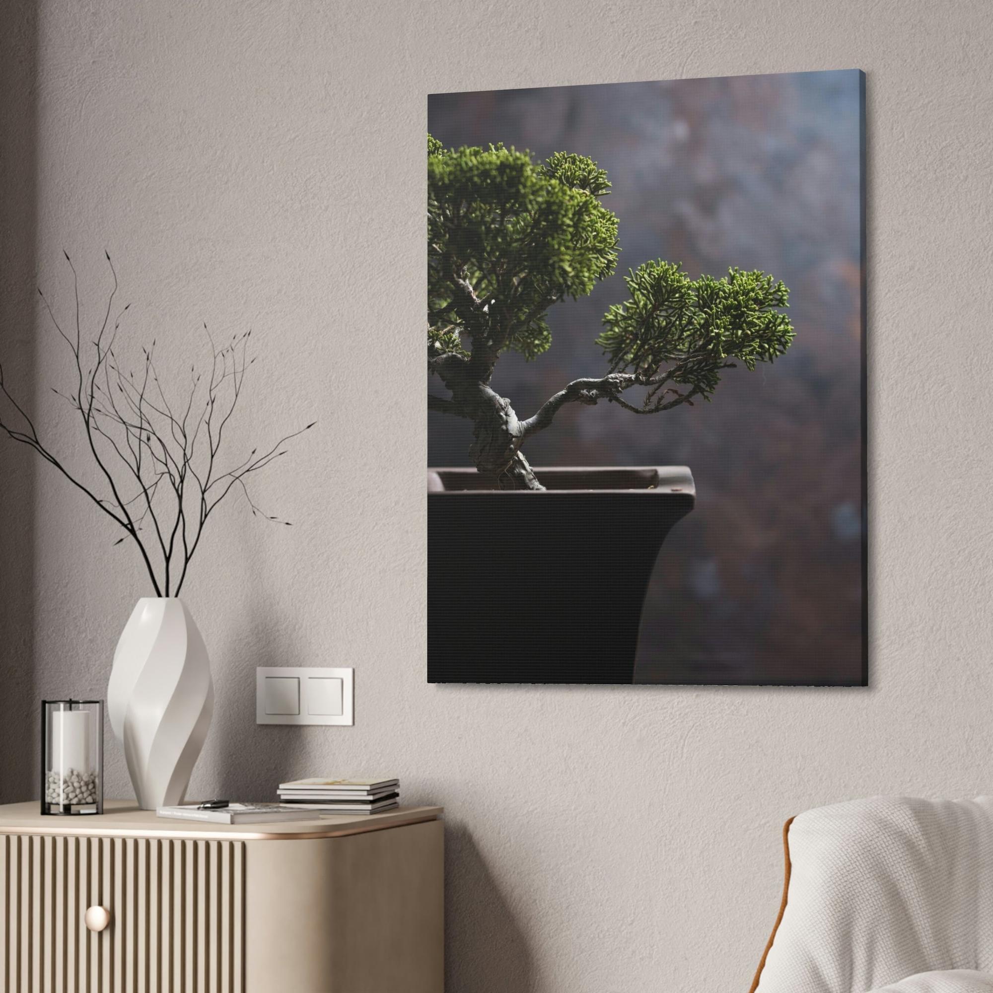 Bonsai Tree Bonsai Harmony: Framed Canvas and Print with Balanced Bonsai Tree Art