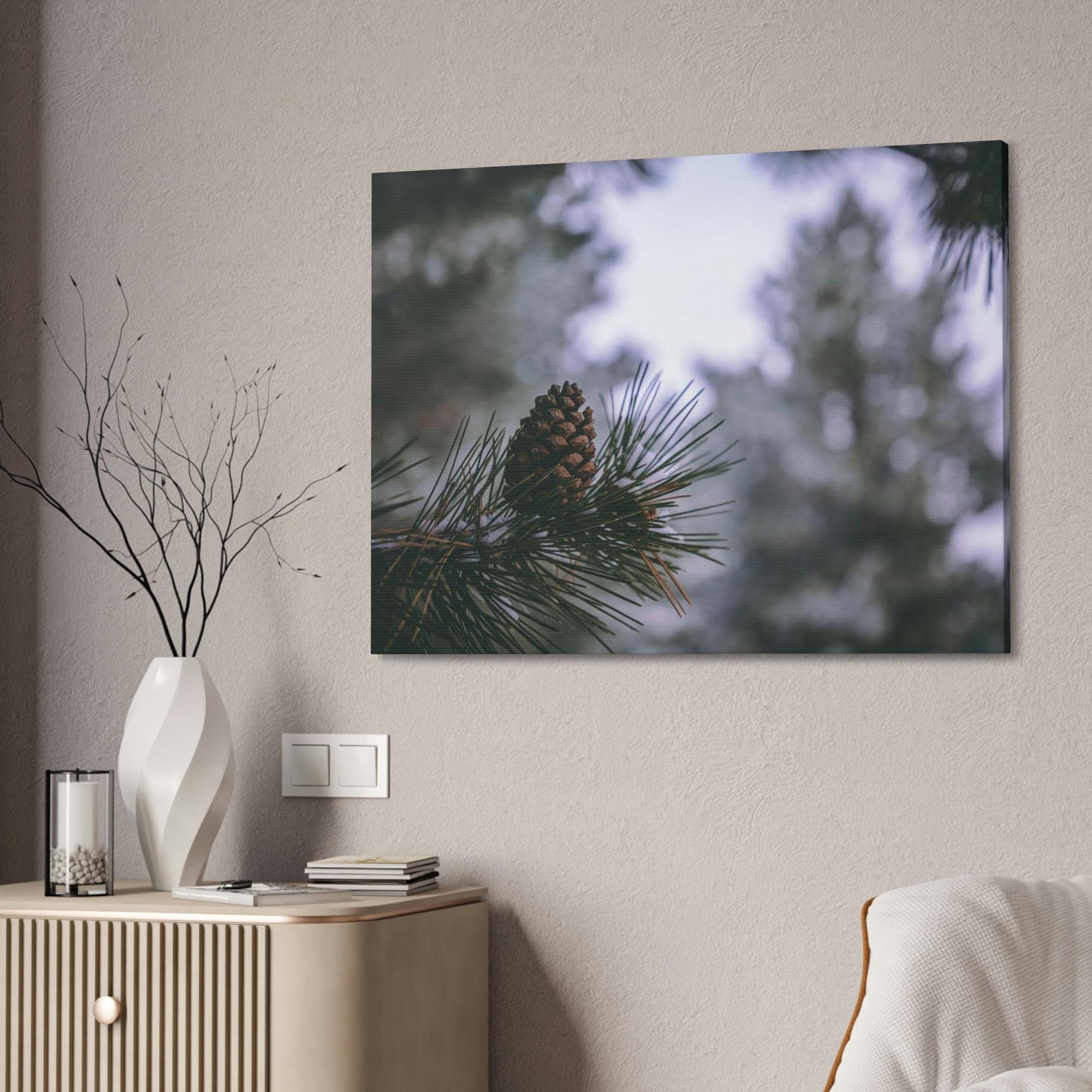 Pine Trees Pine Tree Forest: A Canvas of Verdant Growth and Wild Beauty