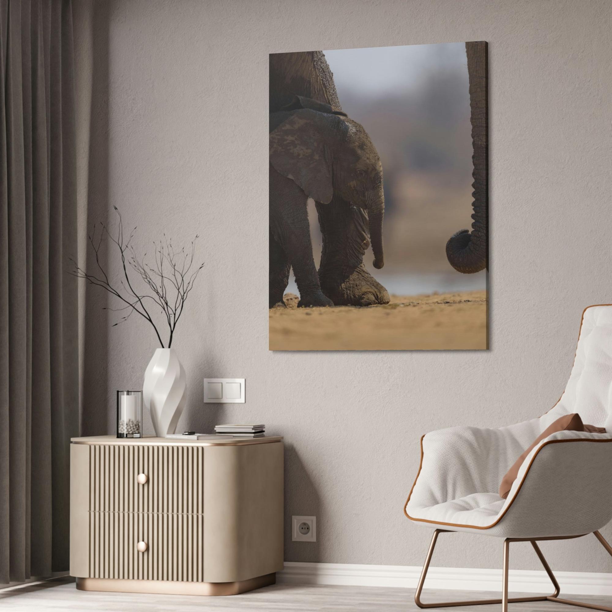 Safari Wildlife Trek: A Journey Through the African Savanna's Most Beautiful Creatures