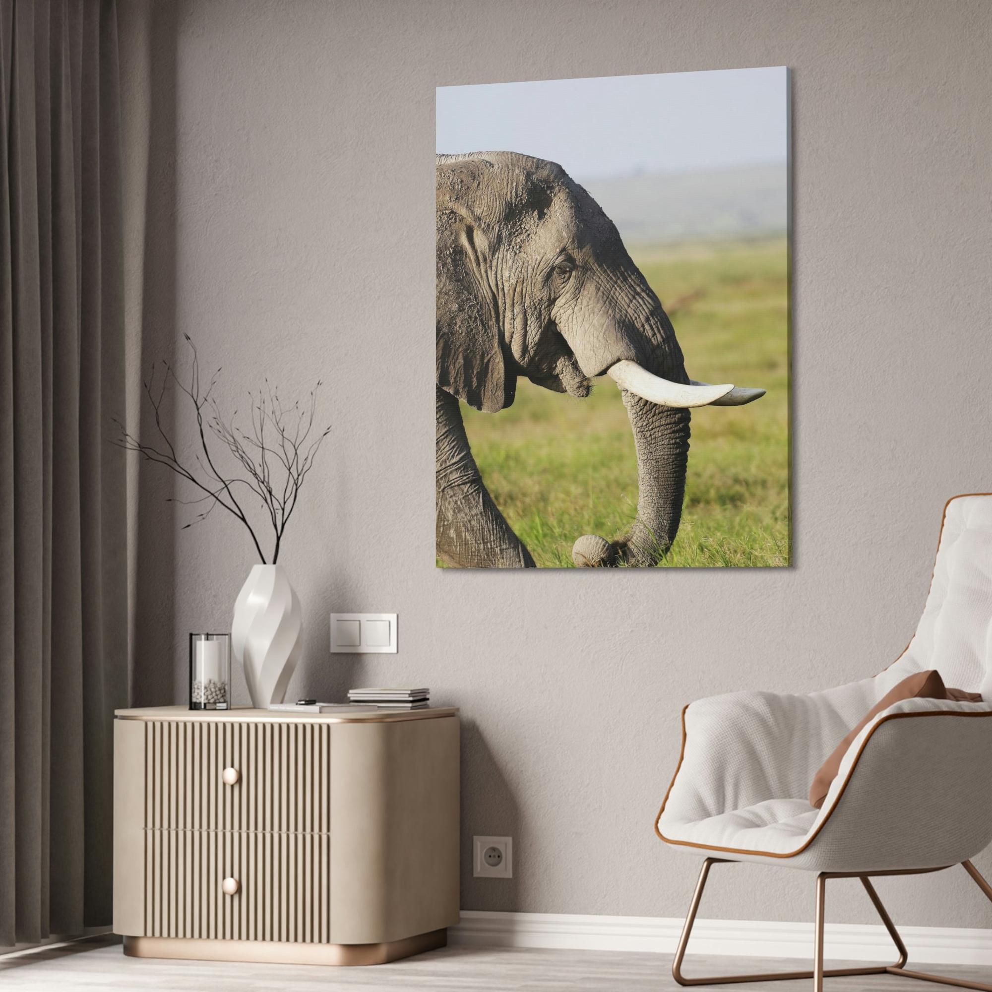 Safari A Walk on the Wild Side: An Up-Close Look at Africa's Most Magnificent Creatures