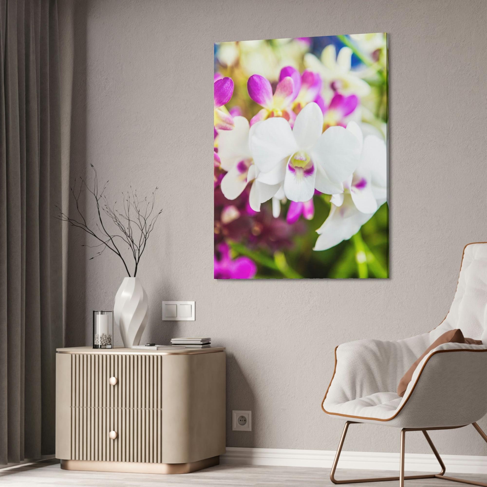 Orchids Orchid Garden: A Colorful Canvas Escape