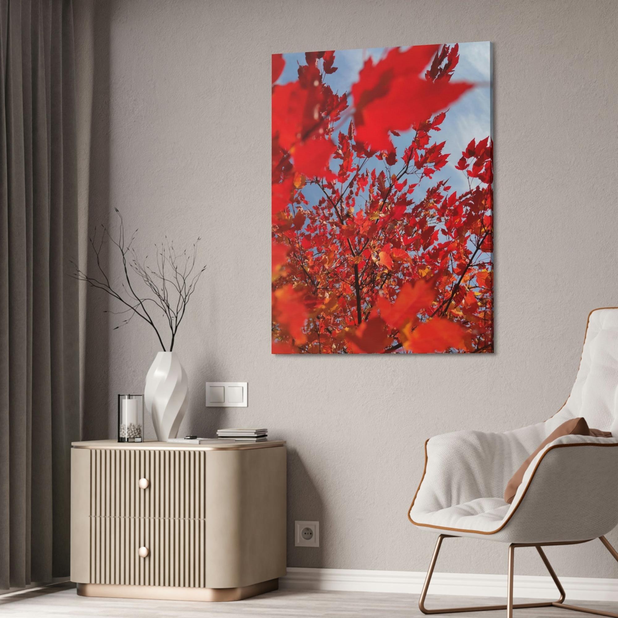 Maple Trees Autumn's Glow: Maple Trees in Bloom