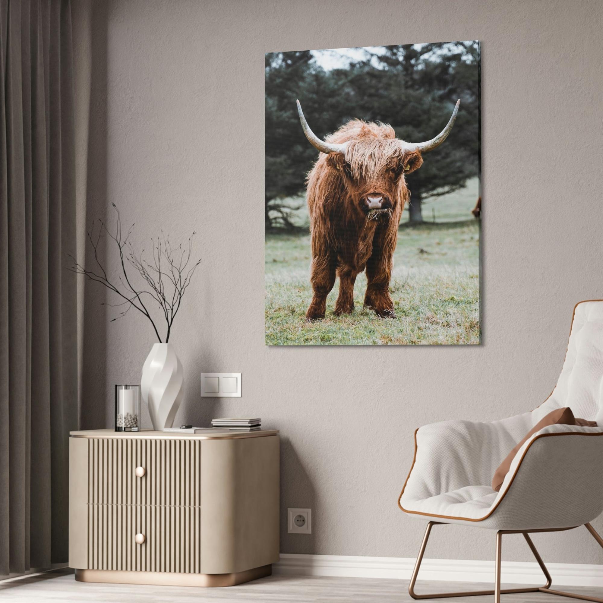 Highland Cow Scottish Cattle Breeds - Wall Art  | Animals Art