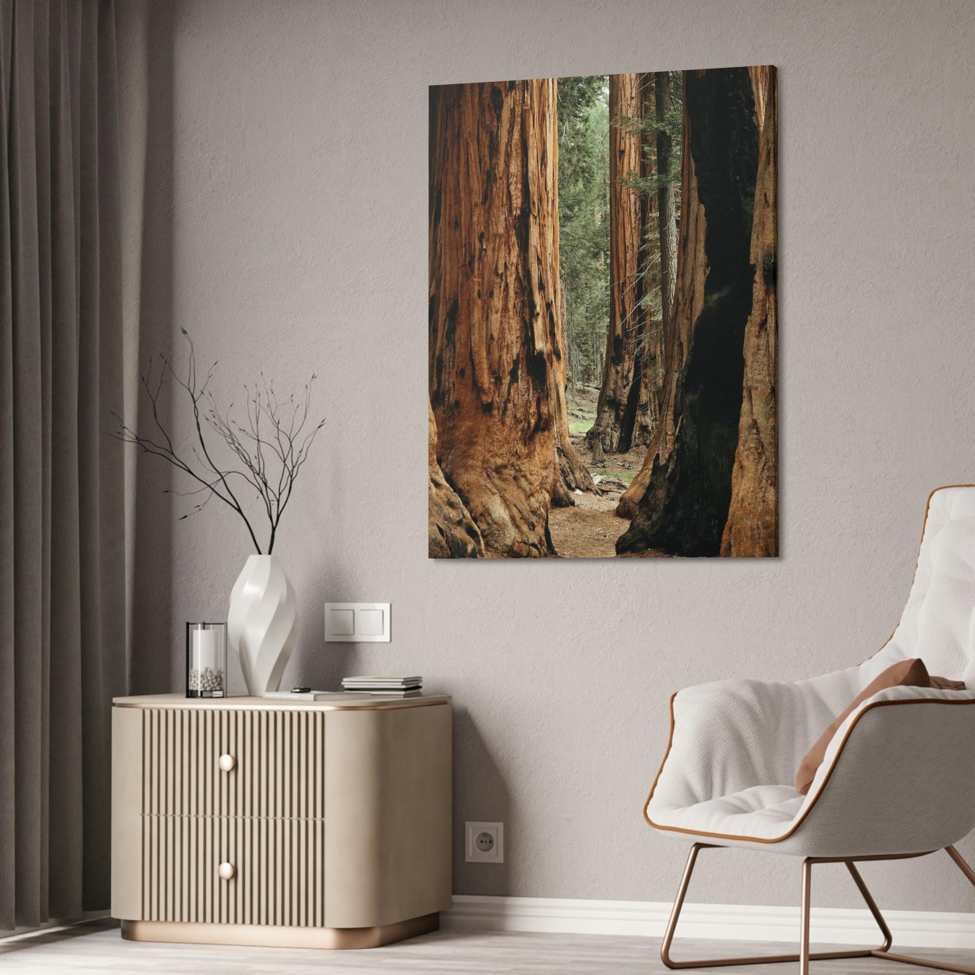 Trees Woodsy Whispers: A Peaceful Journey Through a Forest's Secrets