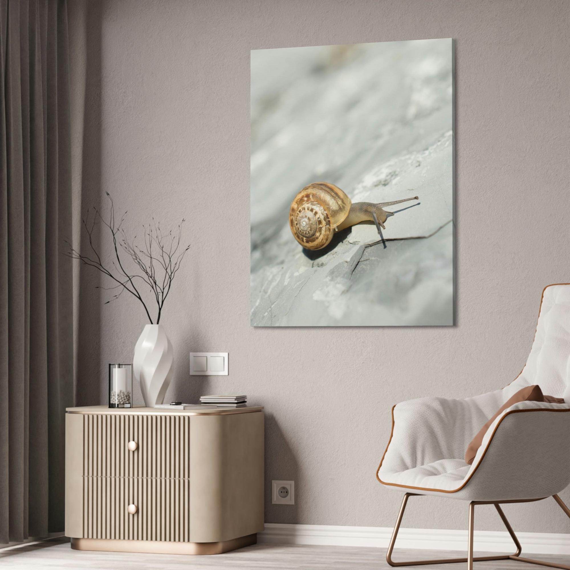 Snails A Snail's World: Life in Slow Motion