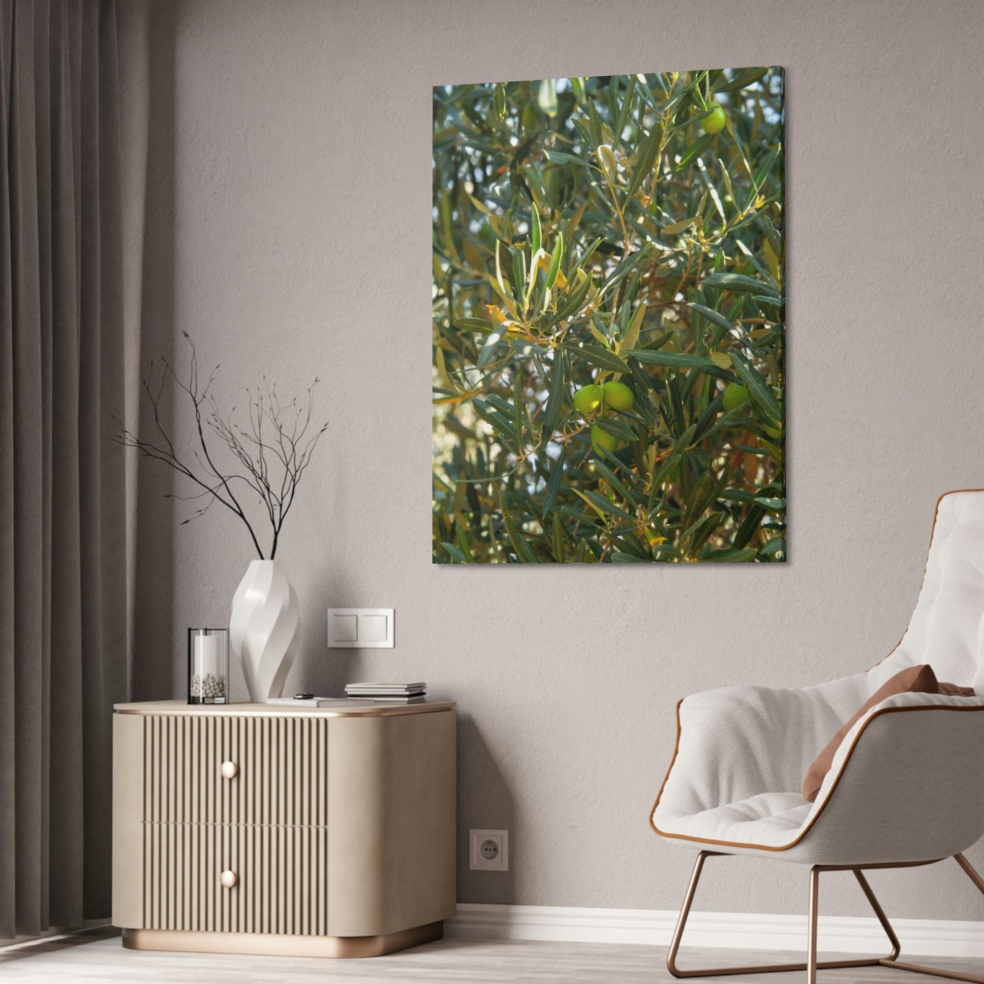 Olive Trees Mediterranean Groves: A Lush and Vibrant Ode to the Olive Trees of the South