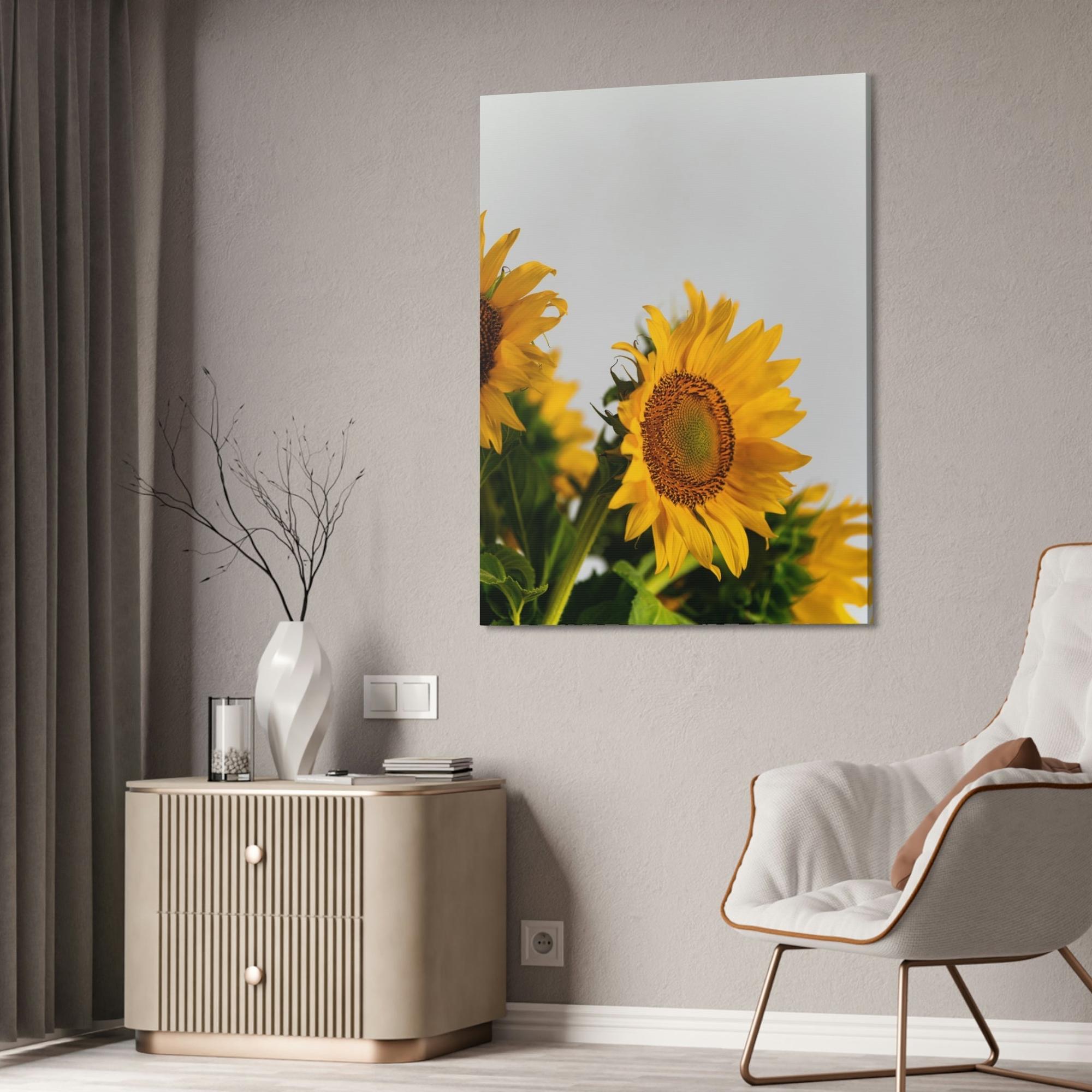 Sunflowers Sunny Delight: A Blissful and Cheerful Glimpse into the Beauty of Sunflowers