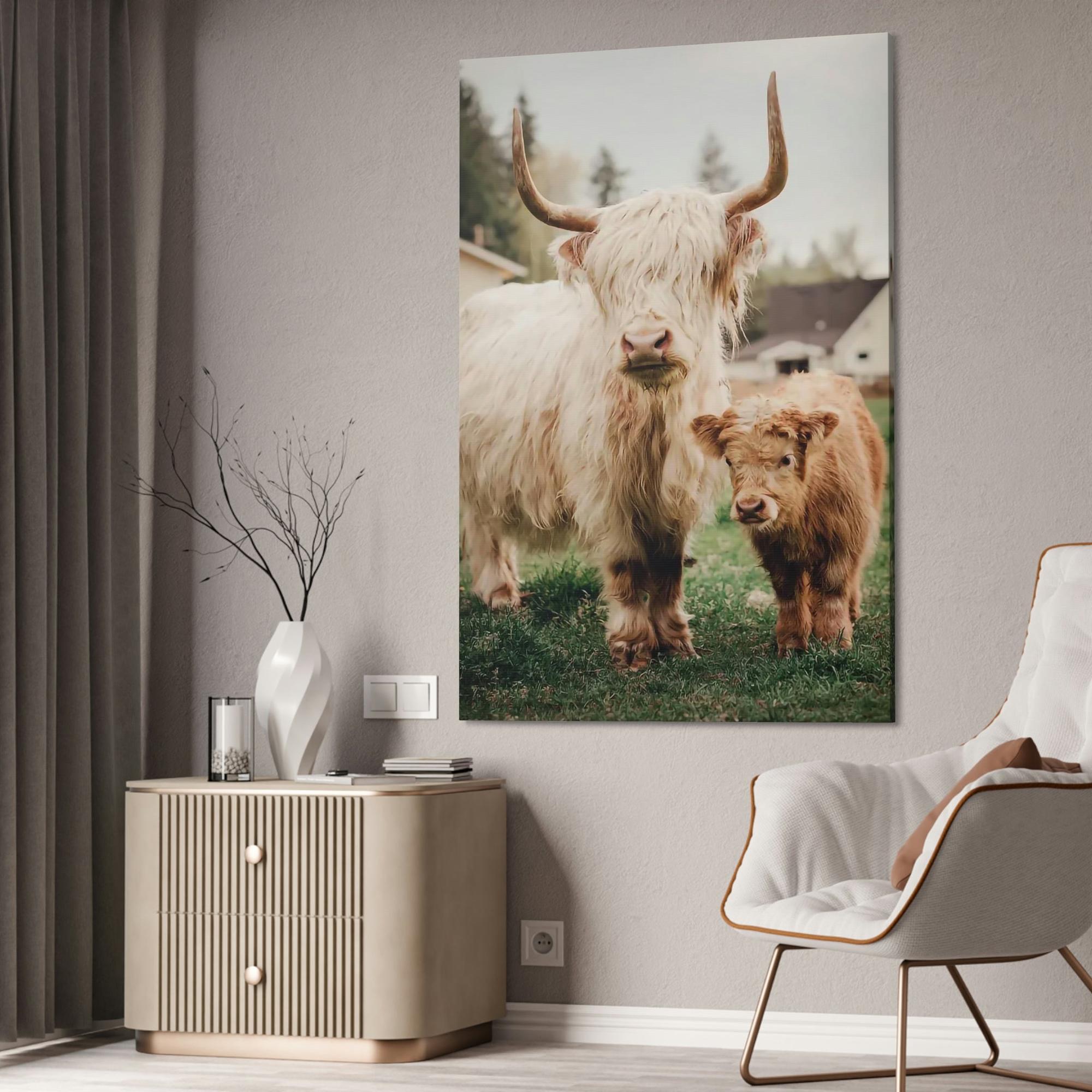 Highland Cow Highland Cow | White & Brown Highland Cows | Marvelous — Pixoram