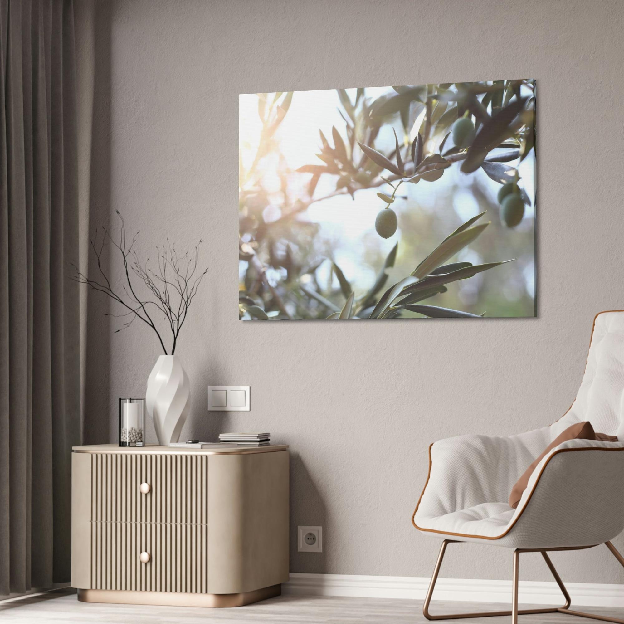 Olive Trees Ancient Wisdom: A Reverential and Timeless Homage to the Ancient Olive Trees