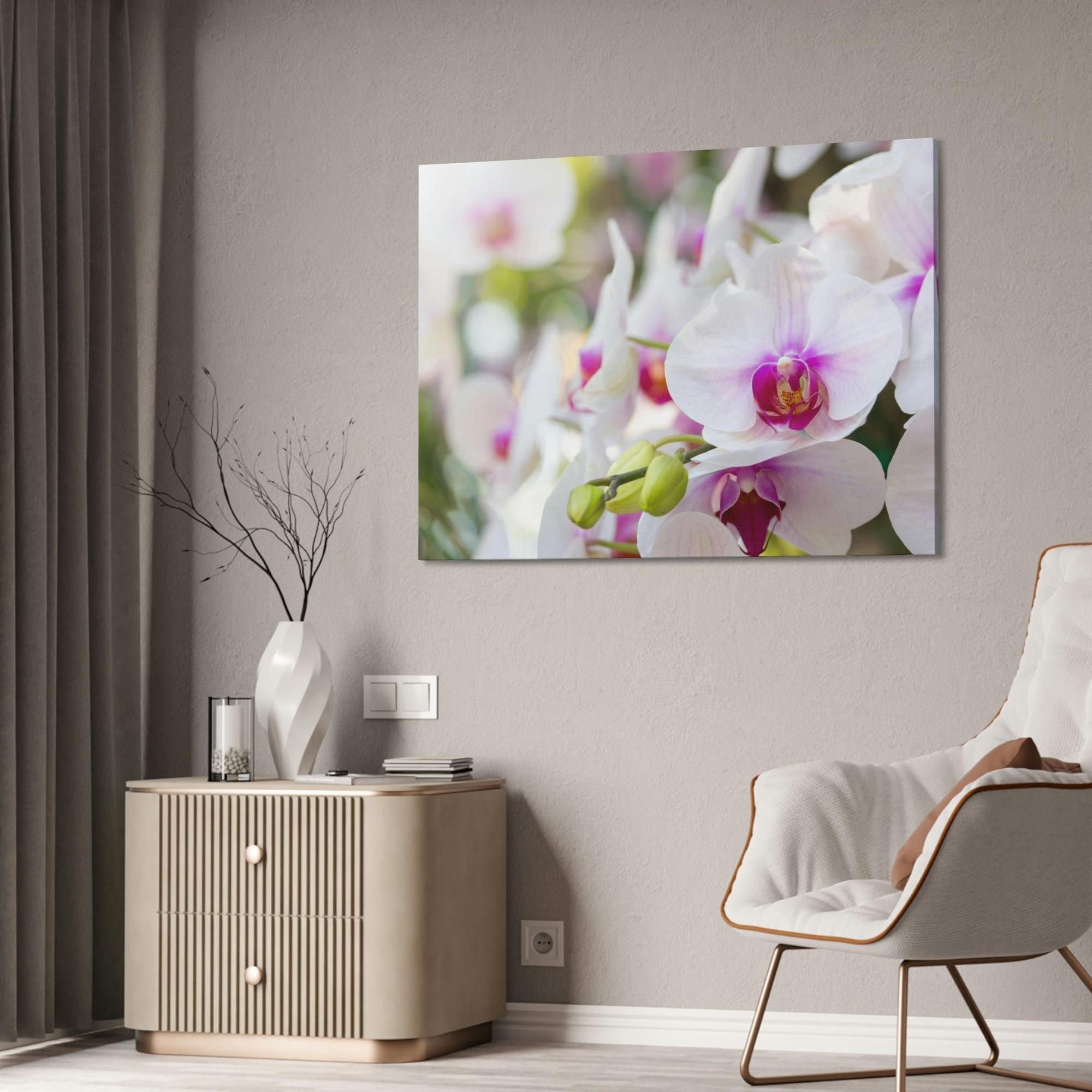 Orchids Floral Symphony: Orchids in Harmony