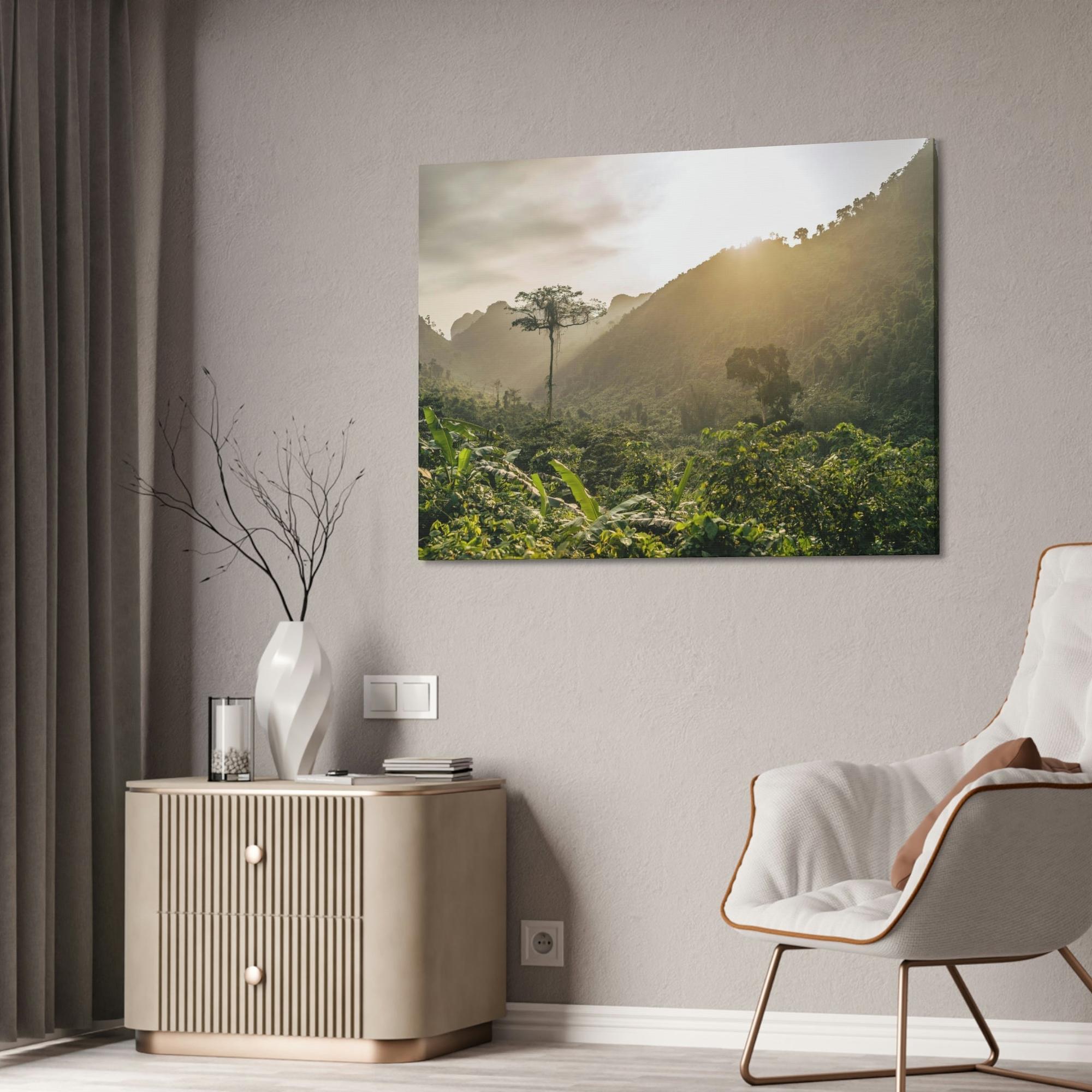 Forests And Jungles A Journey Through Forests and Jungles: A Glimpse into the Heart of Nature