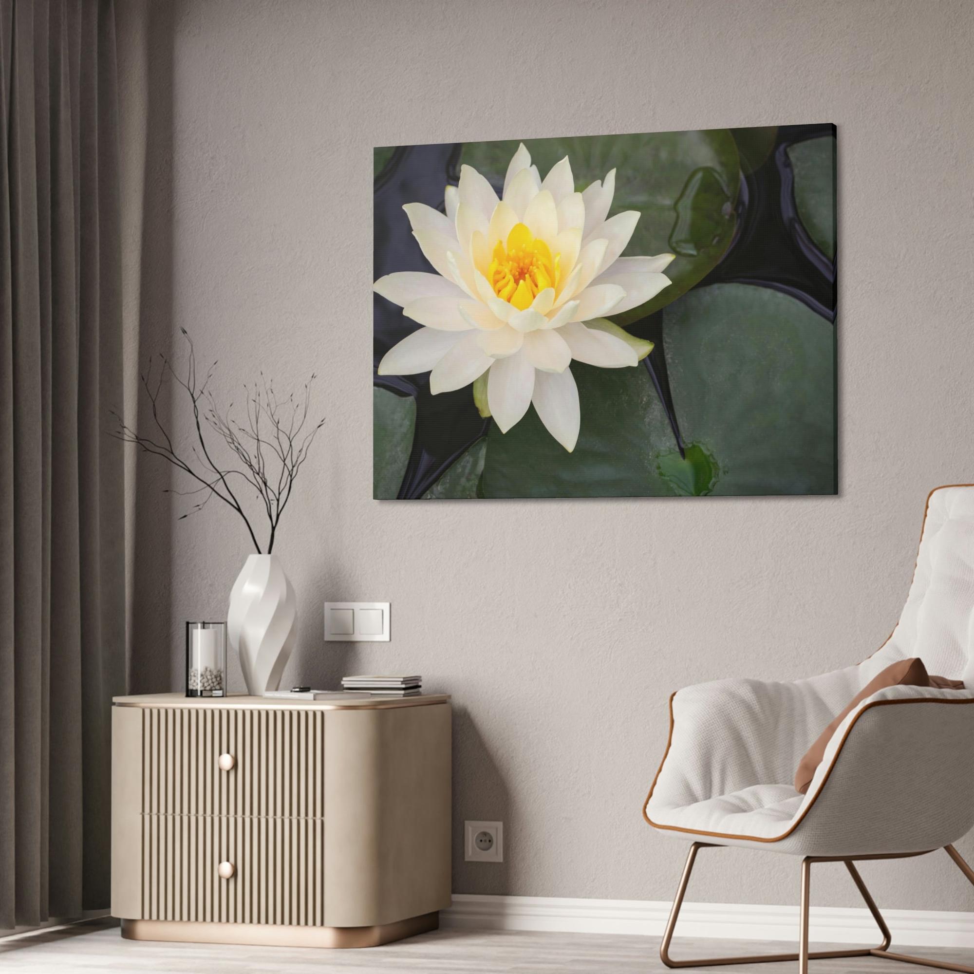 Lilies & Waterlily Lily Serenade: A Symphony of Floral Beauty