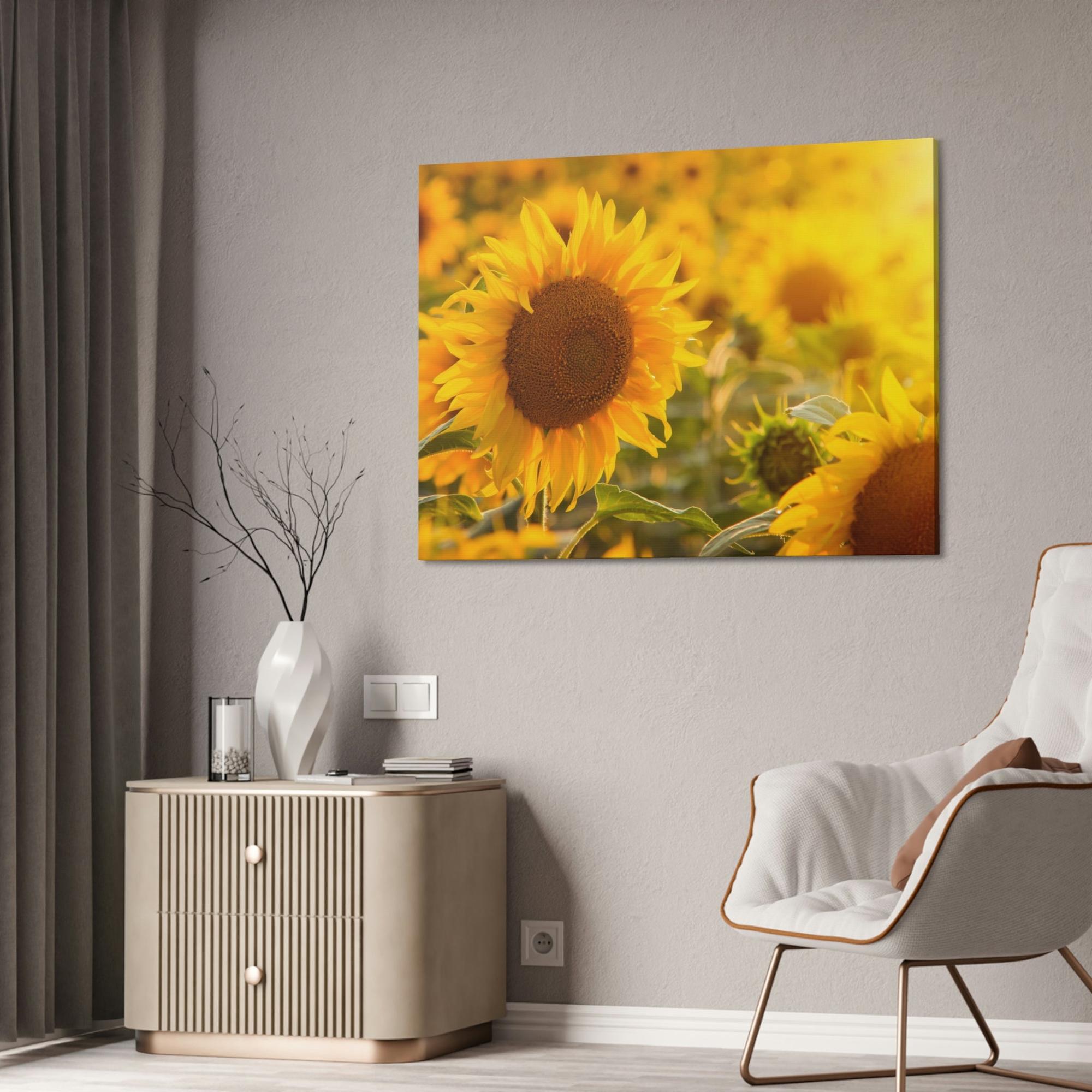 Sunflowers Golden Blooms: A Vibrant Ode to the Beauty of Sunflowers