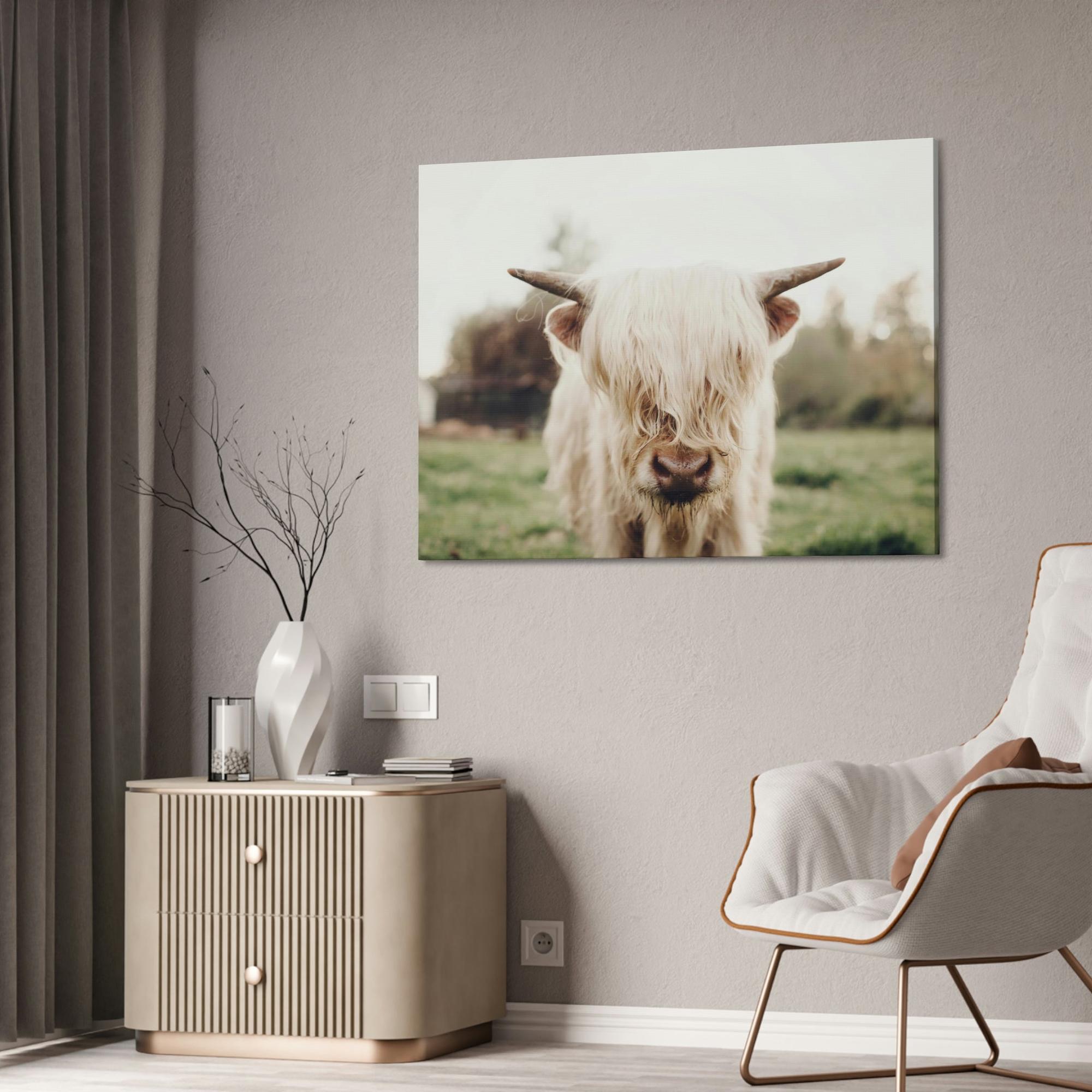 Highland Cow Highland Cow | Milky Color of Cow | Art Canvas — Pixoram