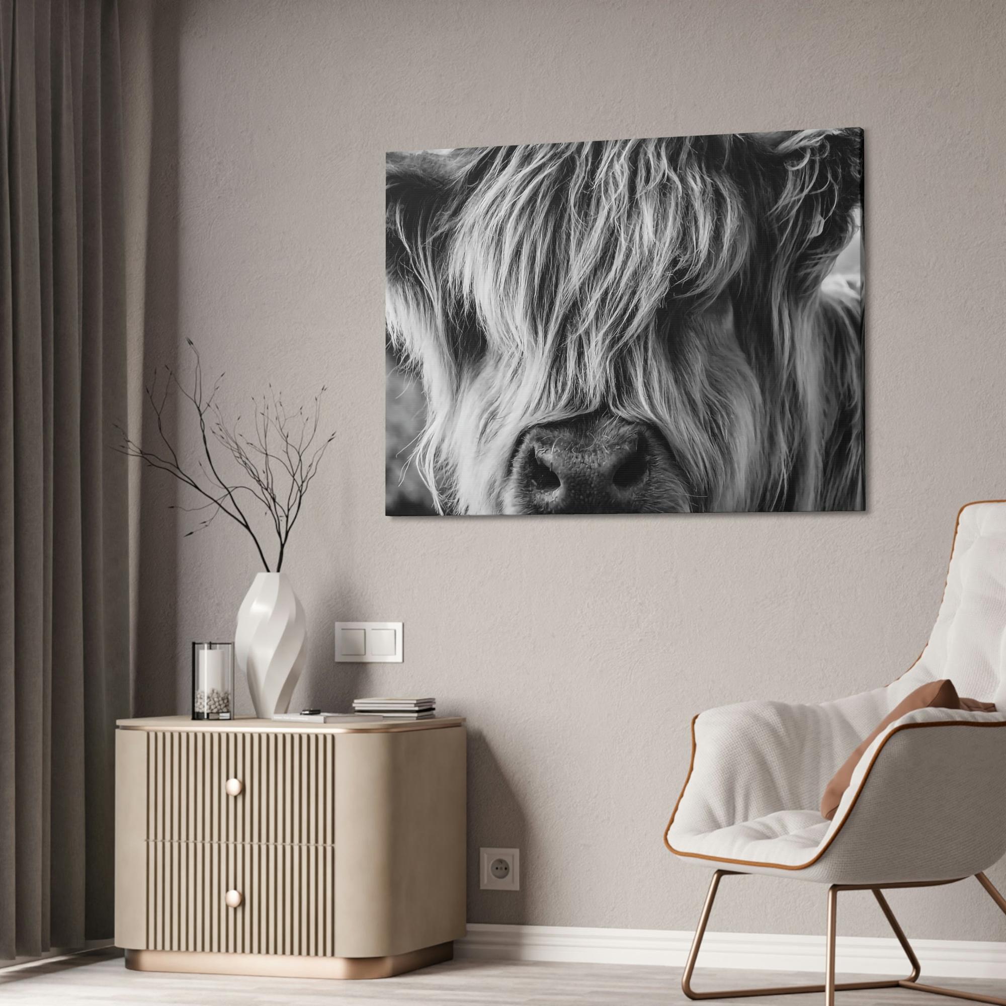 Highland Cow Highland Cow | Close-up View of Fluffy Buffalo on Canvas — Pixoram