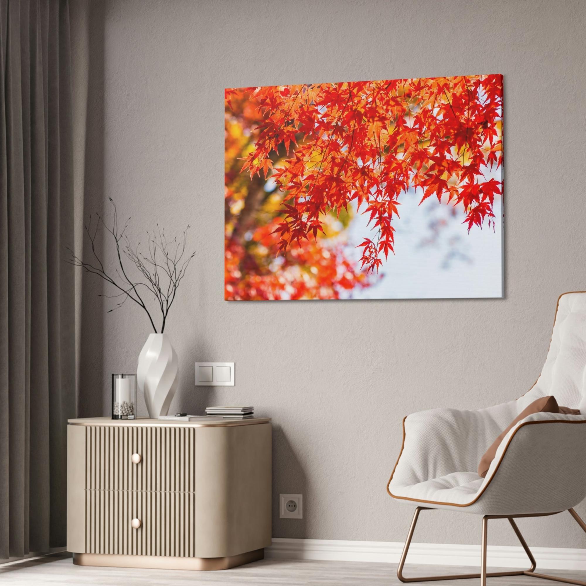 Maple Trees Shades of Red: Maple Trees in Fall