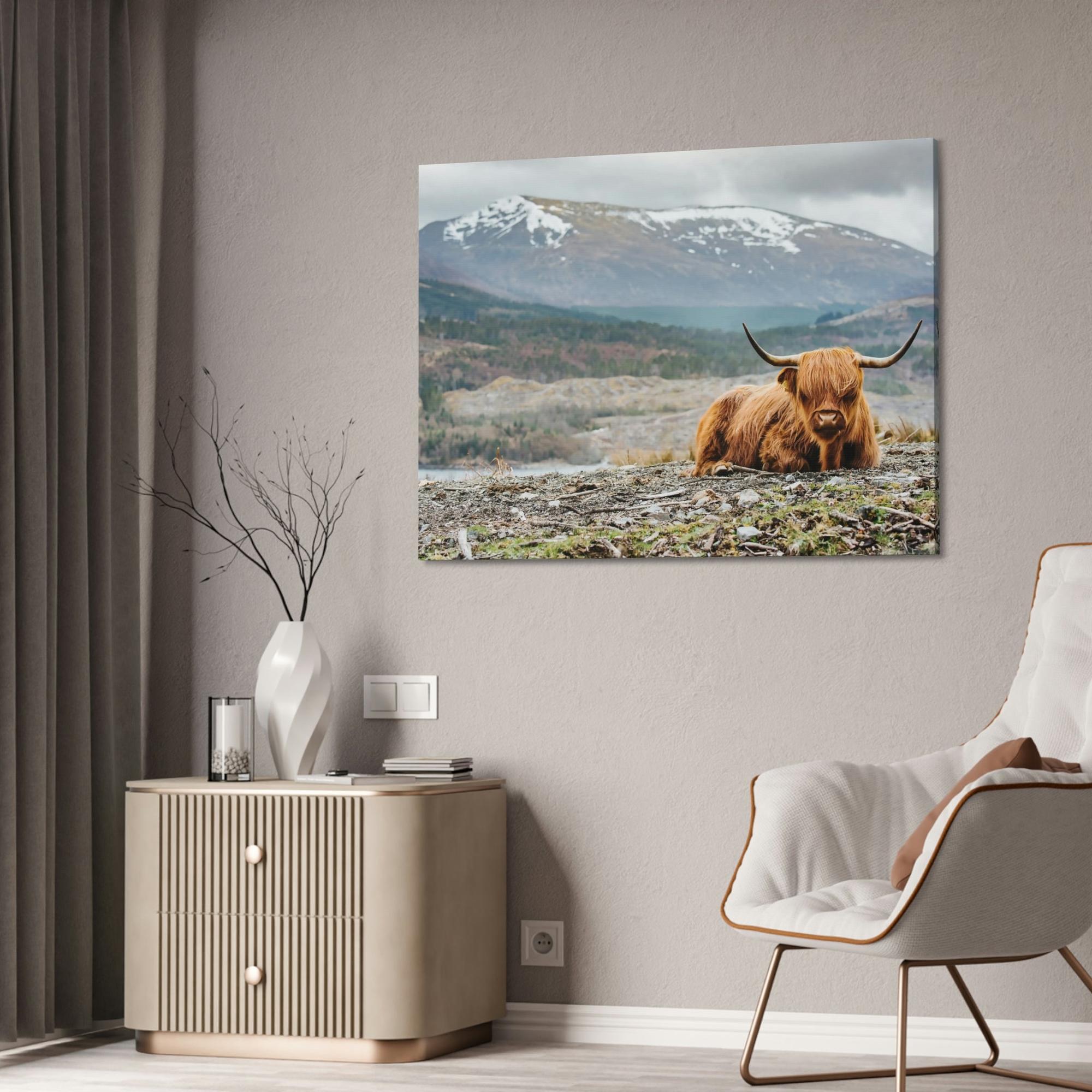 Highland Cow Highland Cow | Furry Cow in the Mountains | Art Canvas — Pixoram