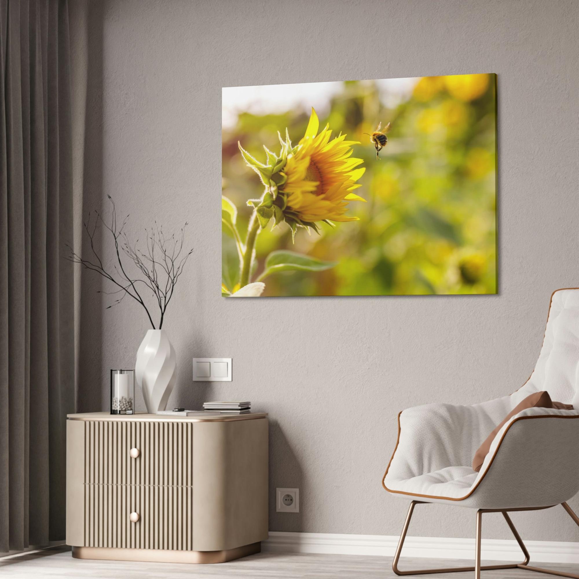 Sunflowers Blooming Sunshine: A Breathtaking and Inspiring Vision of Nature's Delight