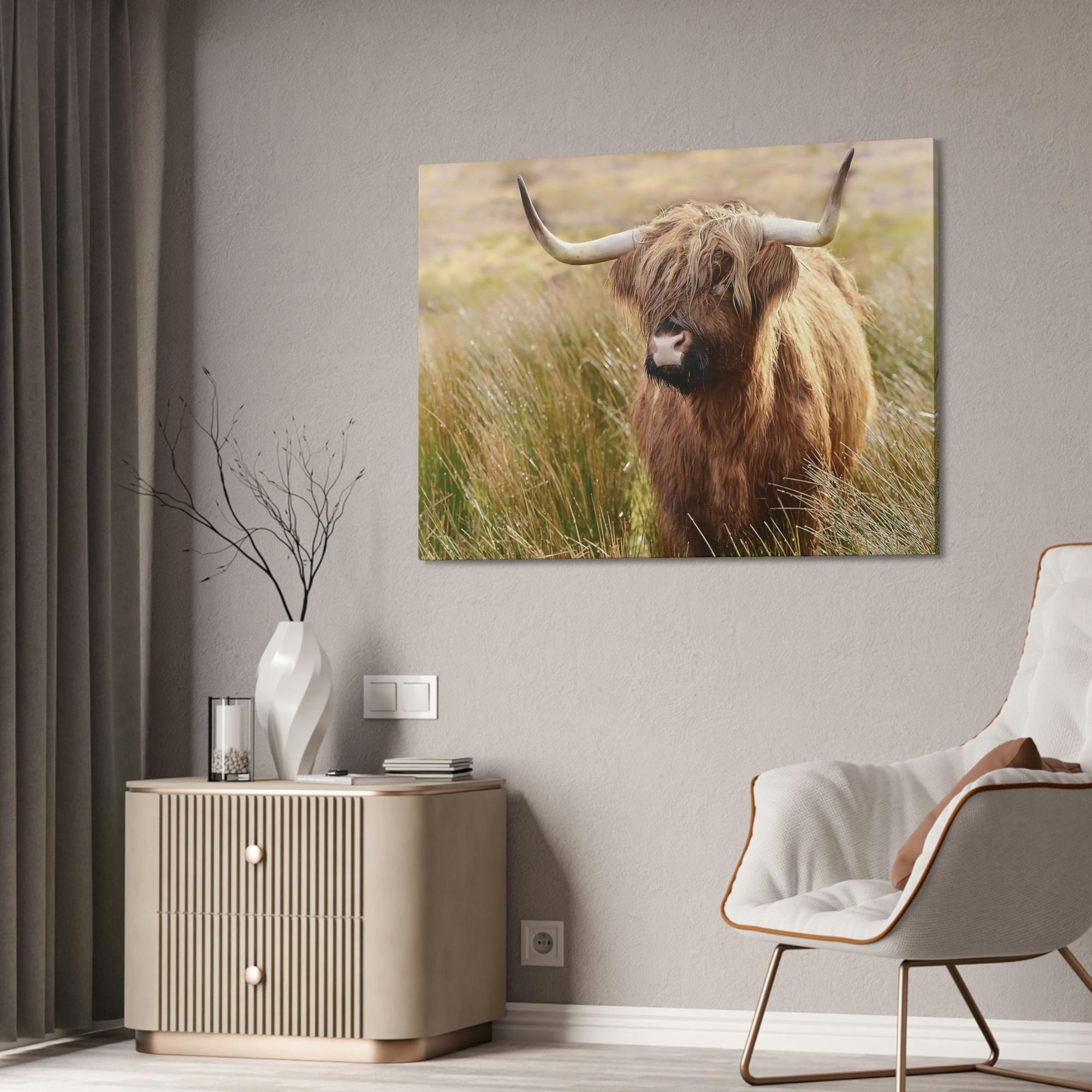 Highland Cow Highland Cow | Cow in the Morning Dew | Wall Art — Pixoram