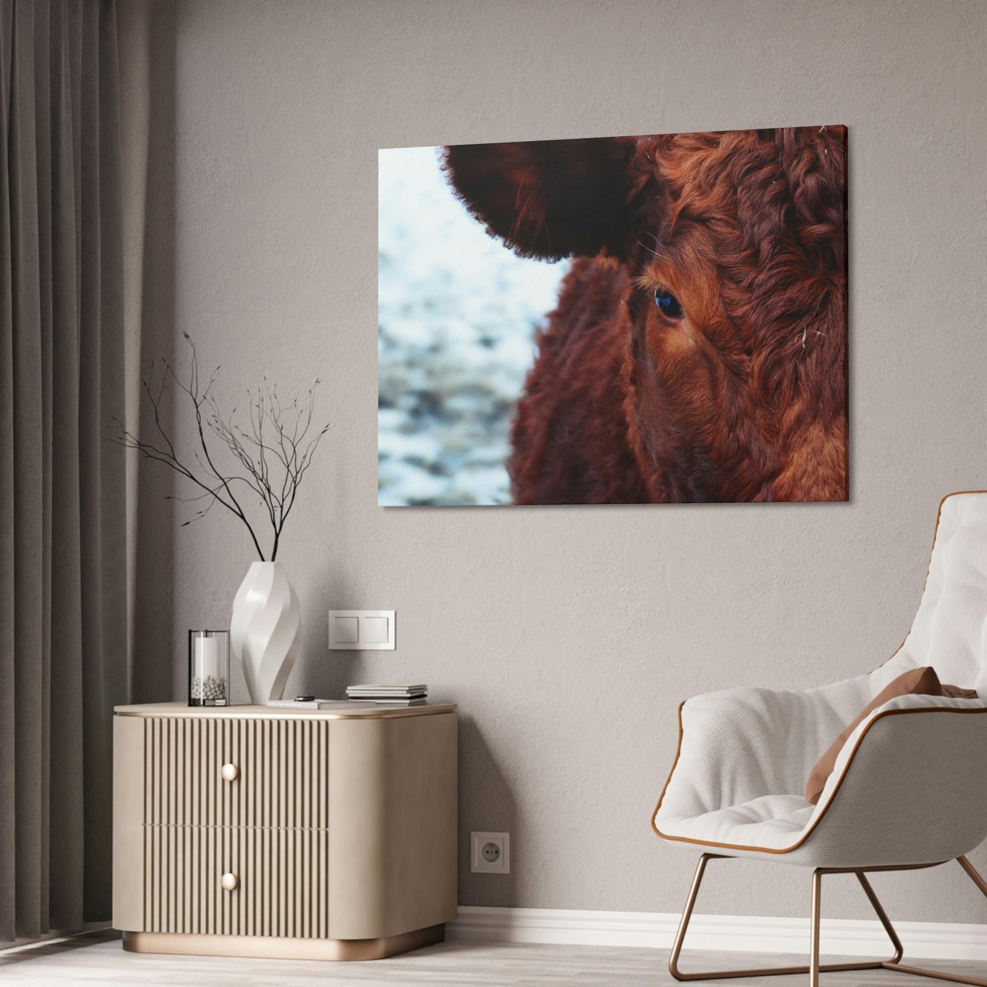 Highland Cow Nelore Cattle Brazil - Wall Art - Wall Art - Animal Canvas