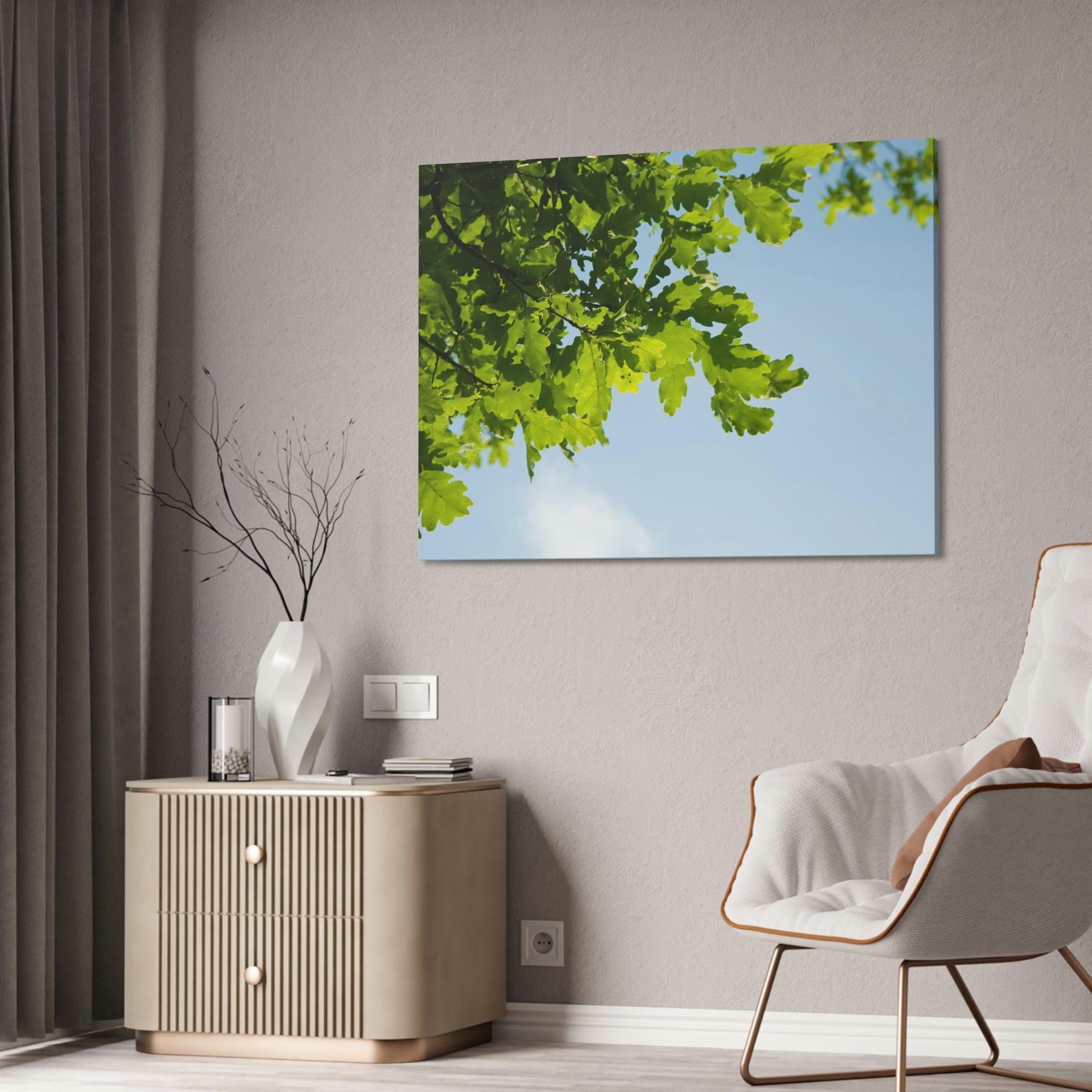 Oak Trees Oak Trees' Radiance: A Luminous Vision of the Forest's Brilliance