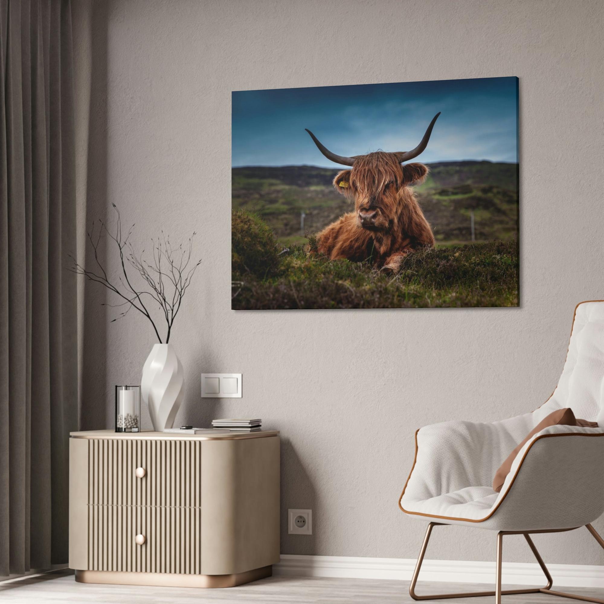 Highland Cow Scottish Longhorn Cattle - Canvas Art | Animals Art