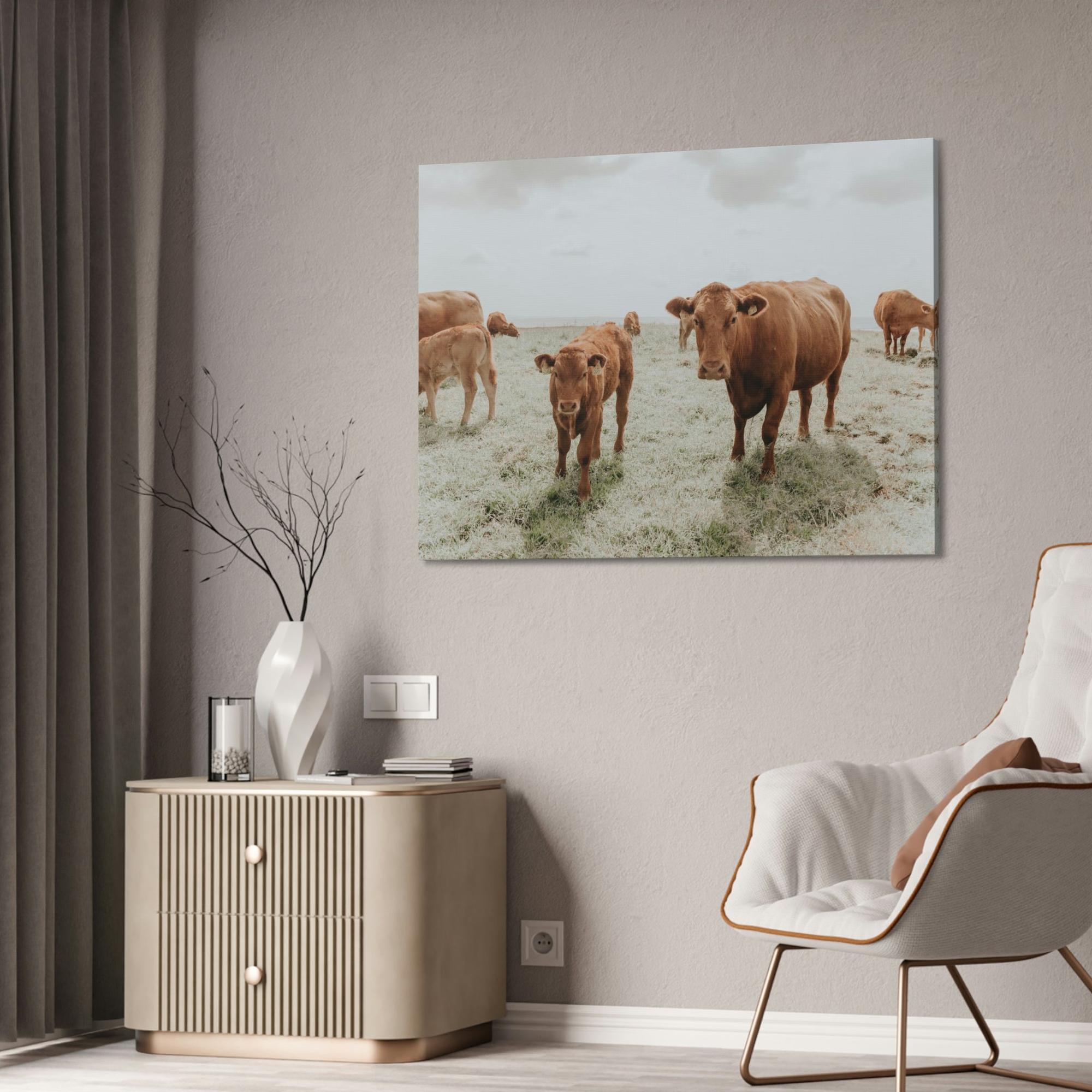 Cows Peaceful Pasture: Framed Canvas & Posters Print of Cow Grazing
