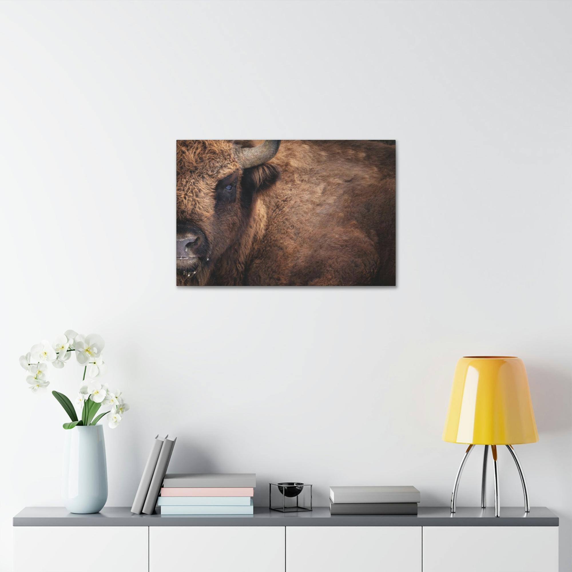 Bulls Artistic Bull Illustration: Natural Canvas and Poster Prints