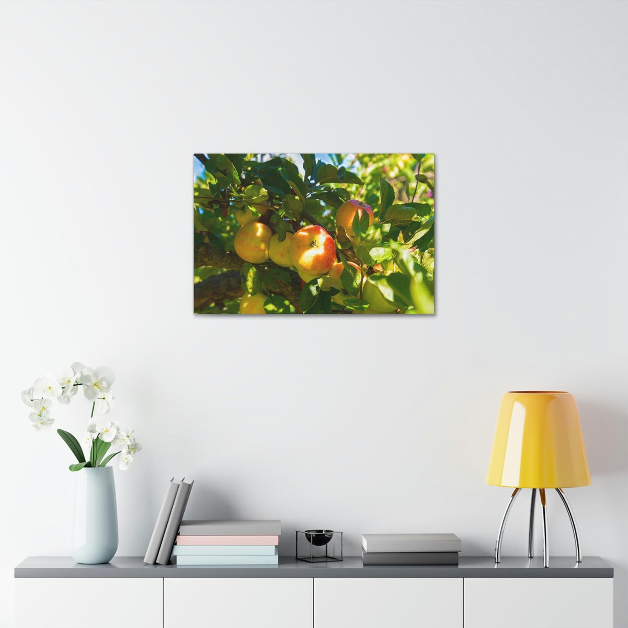 Apple Trees Serene Orchard: Framed Canvas & Poster of Apple Trees on a Sunny Day