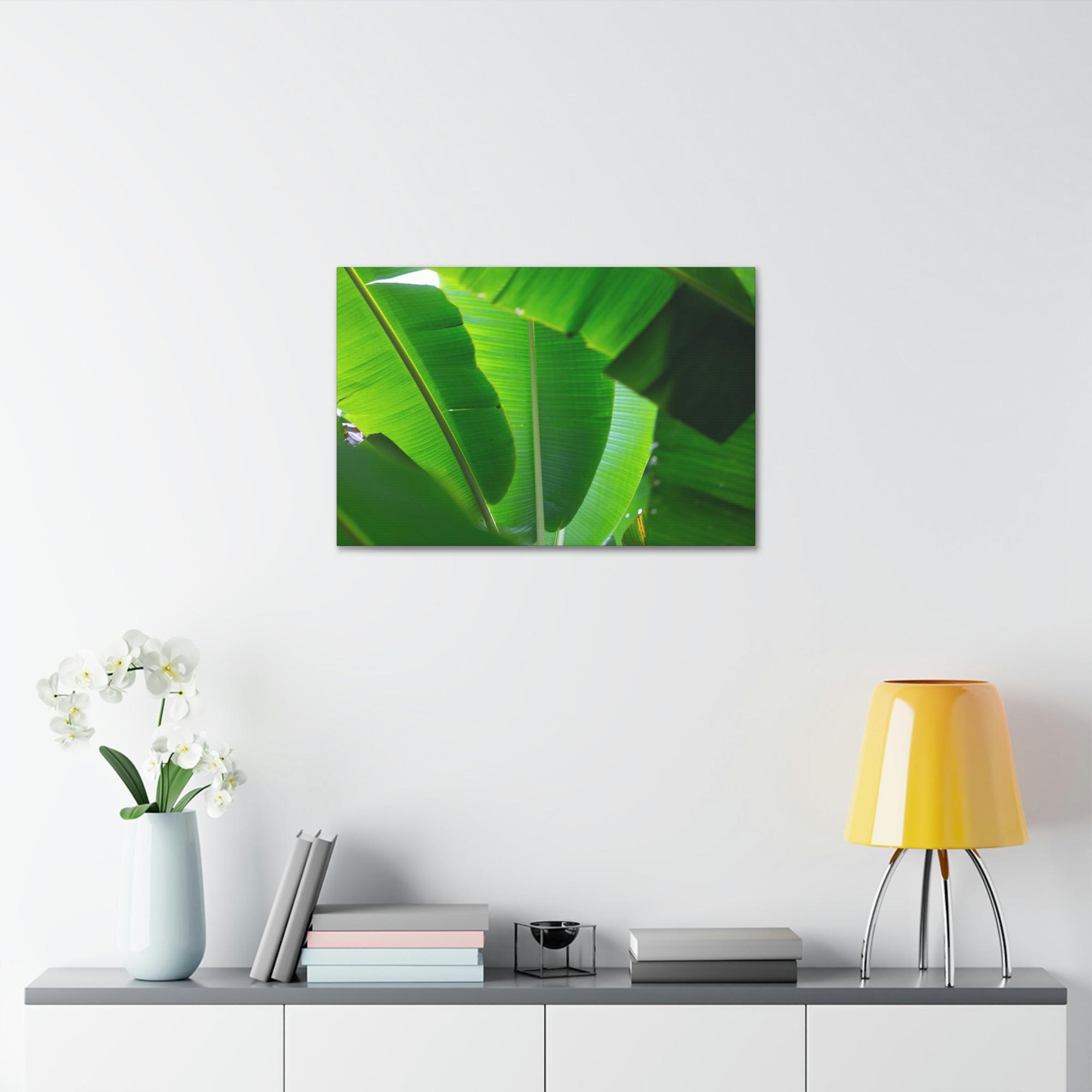 Banana Trees Exotic Foliage: Framed Poster of a Lush Banana Grove