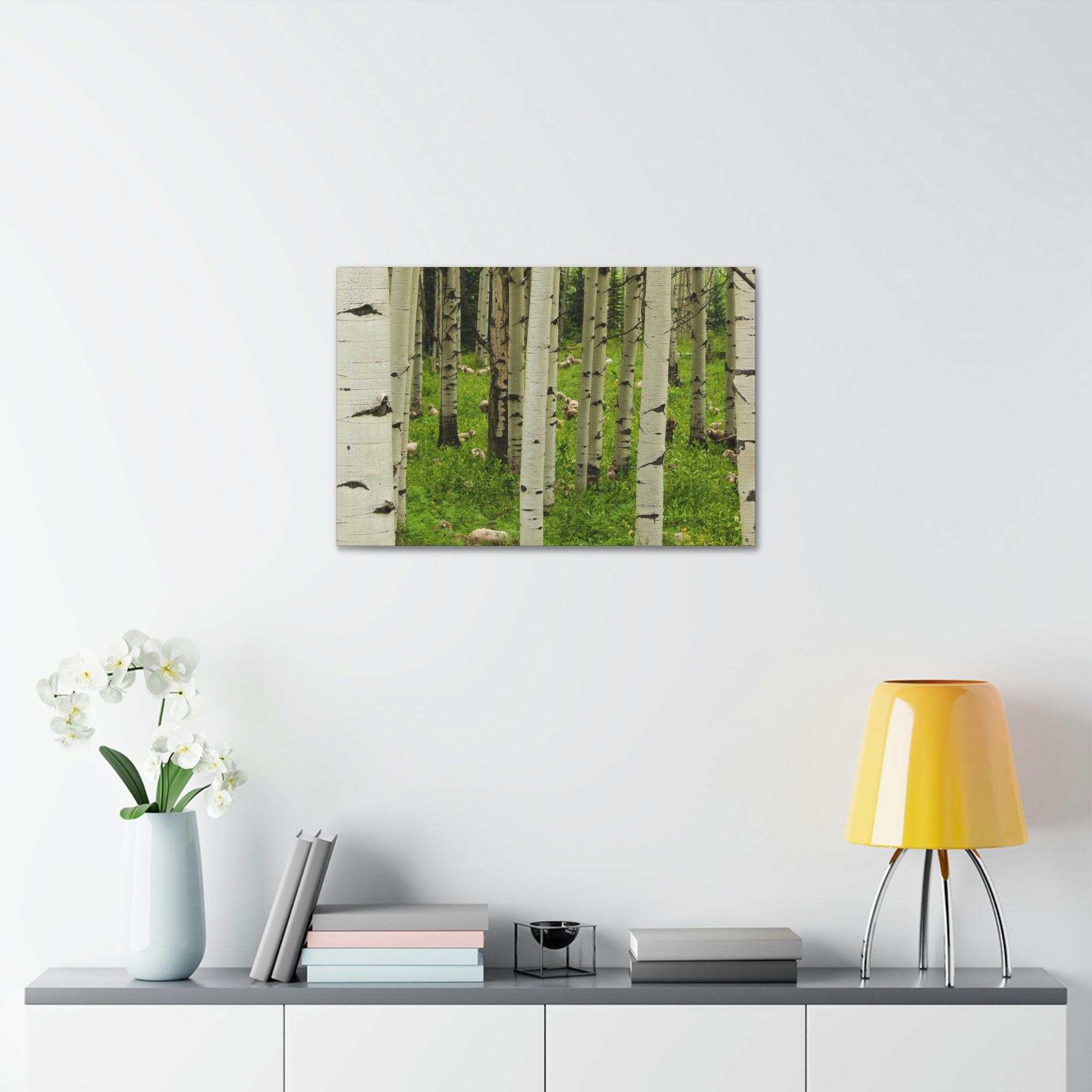 Birch Trees Silent Forest: Framed Poster of Birch Trees with a Tranquil Atmosphere