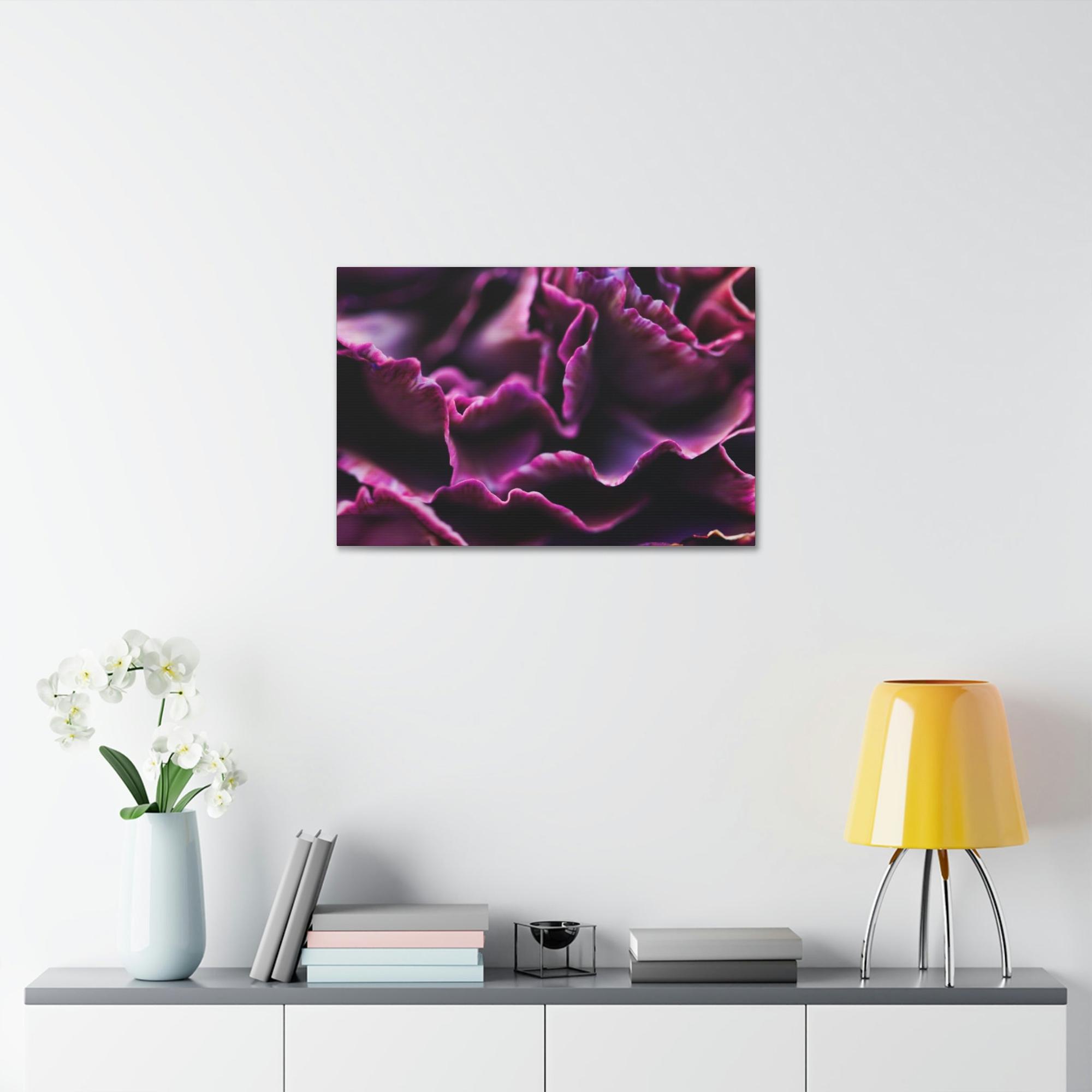 Carnations Colorful Petals: Framed Canvas and Wall Art of Carnations for Your Walls