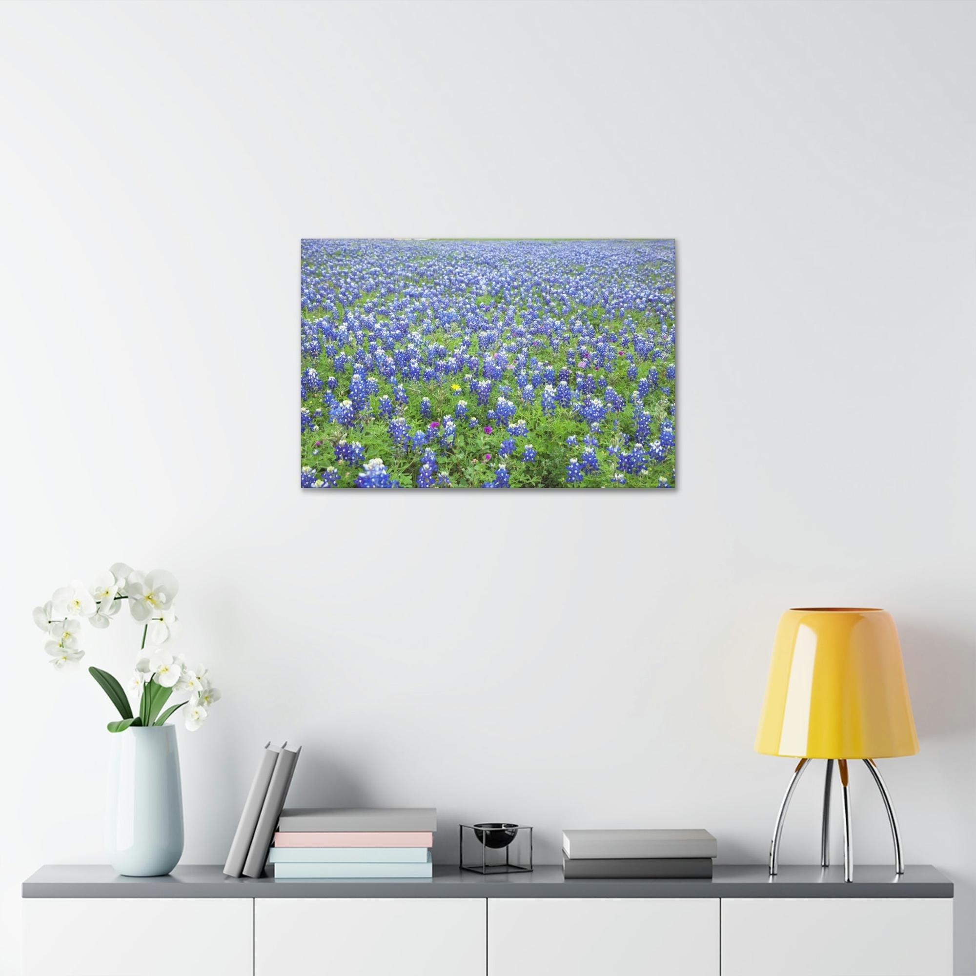 Bluebonnets Bluebonnet Garden: Colorful Print on Canvas of a Flower-Filled Landscape