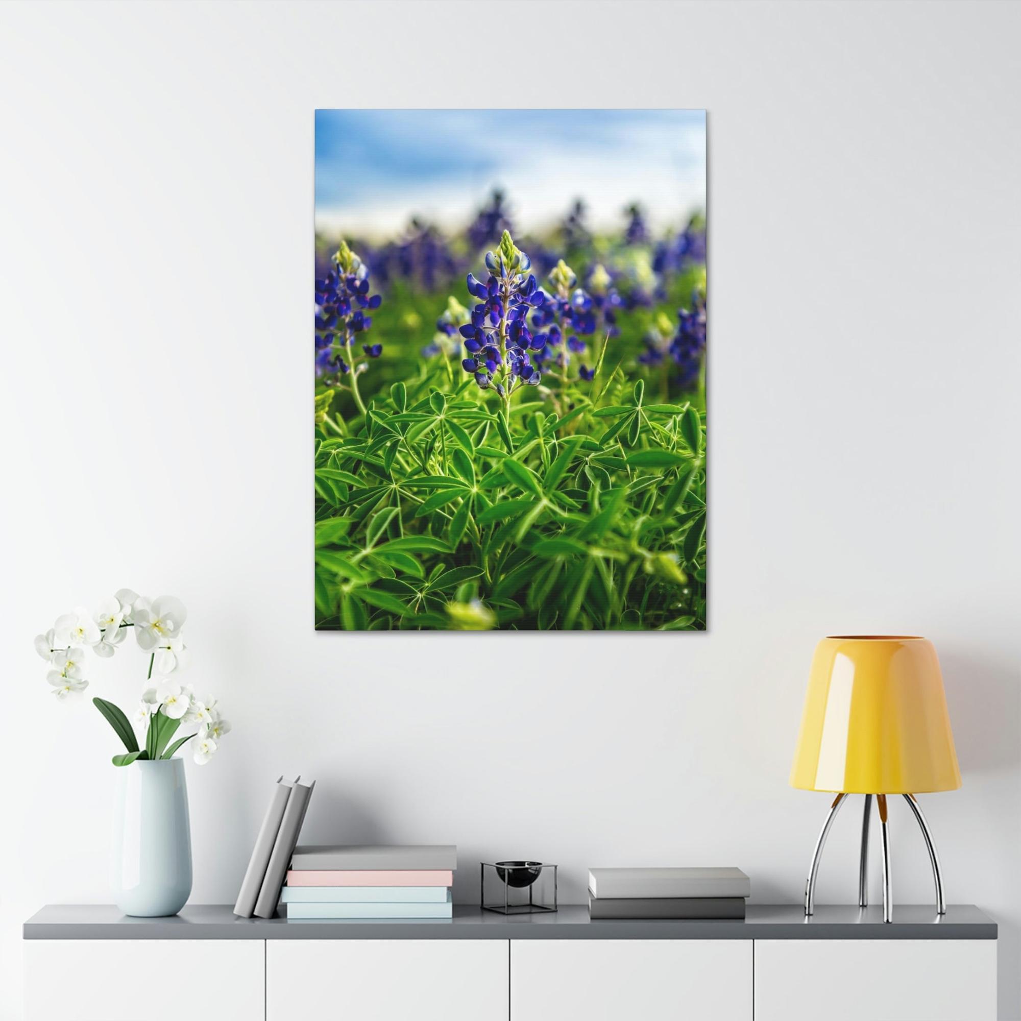 Bluebonnets Fields of Blue: Wall Art and Print on Canvas Showcasing Stunning Bluebonnets